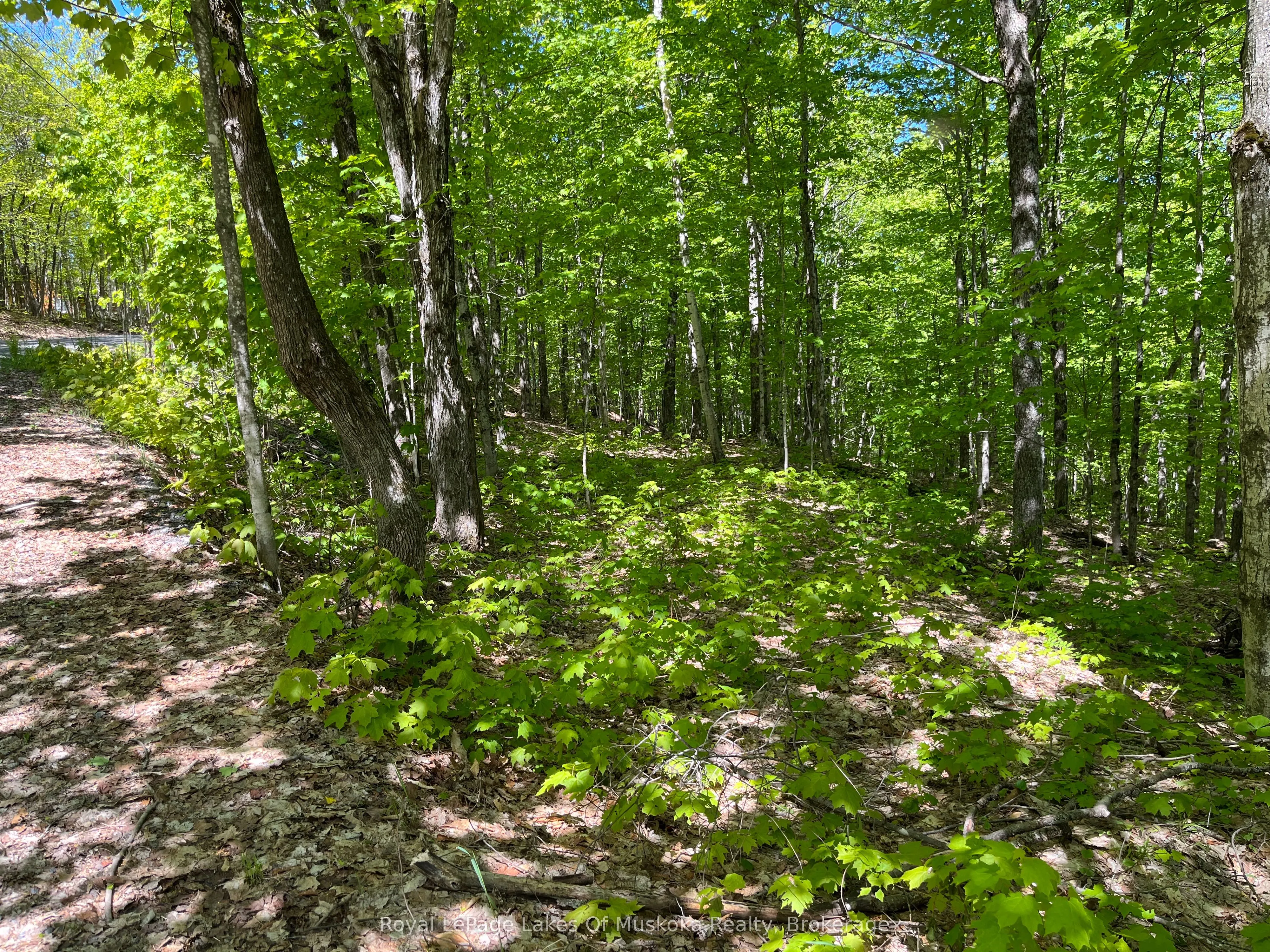 LOT 40 SUNSET Ridge