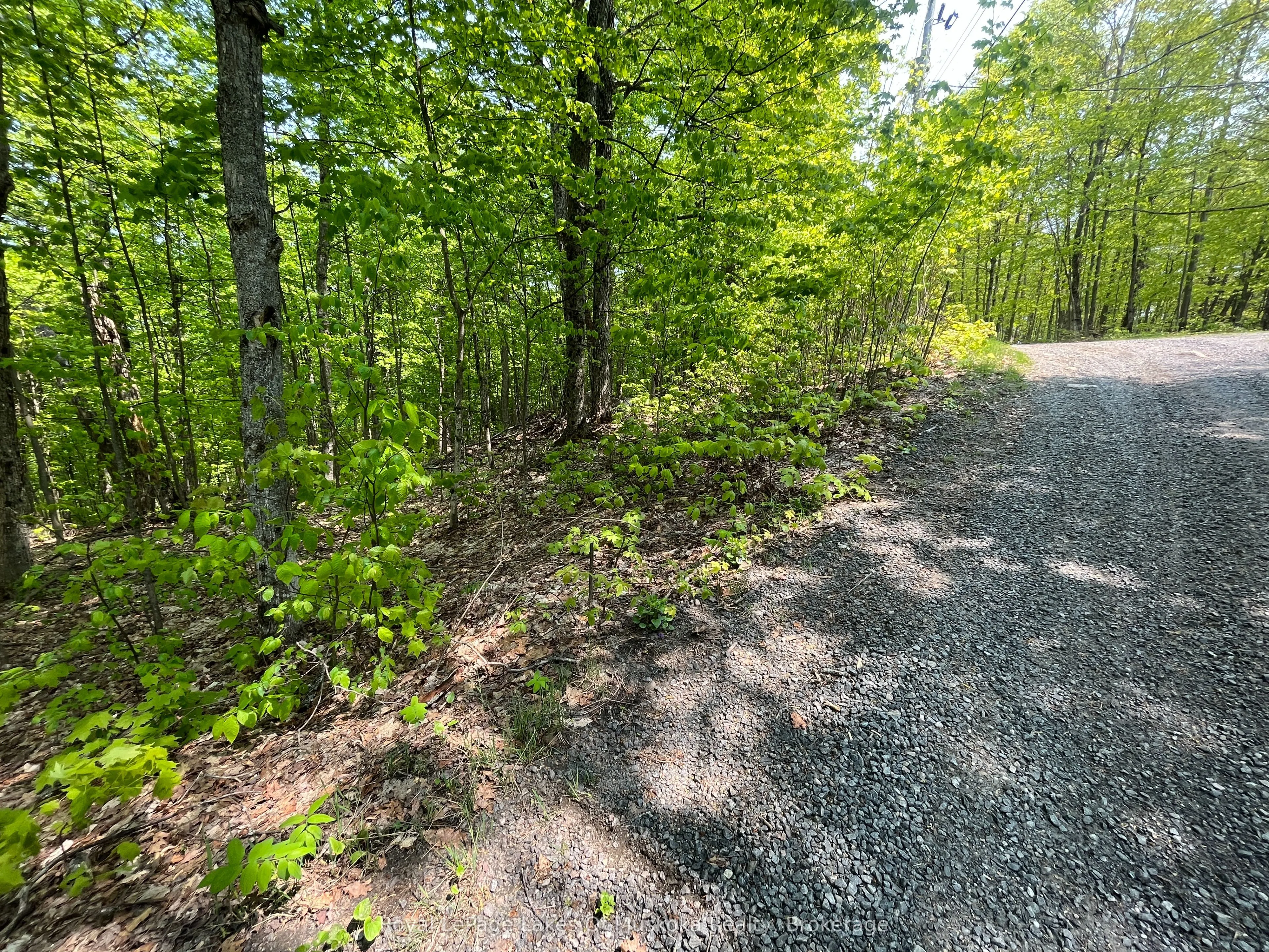 LOT 40 SUNSET Ridge