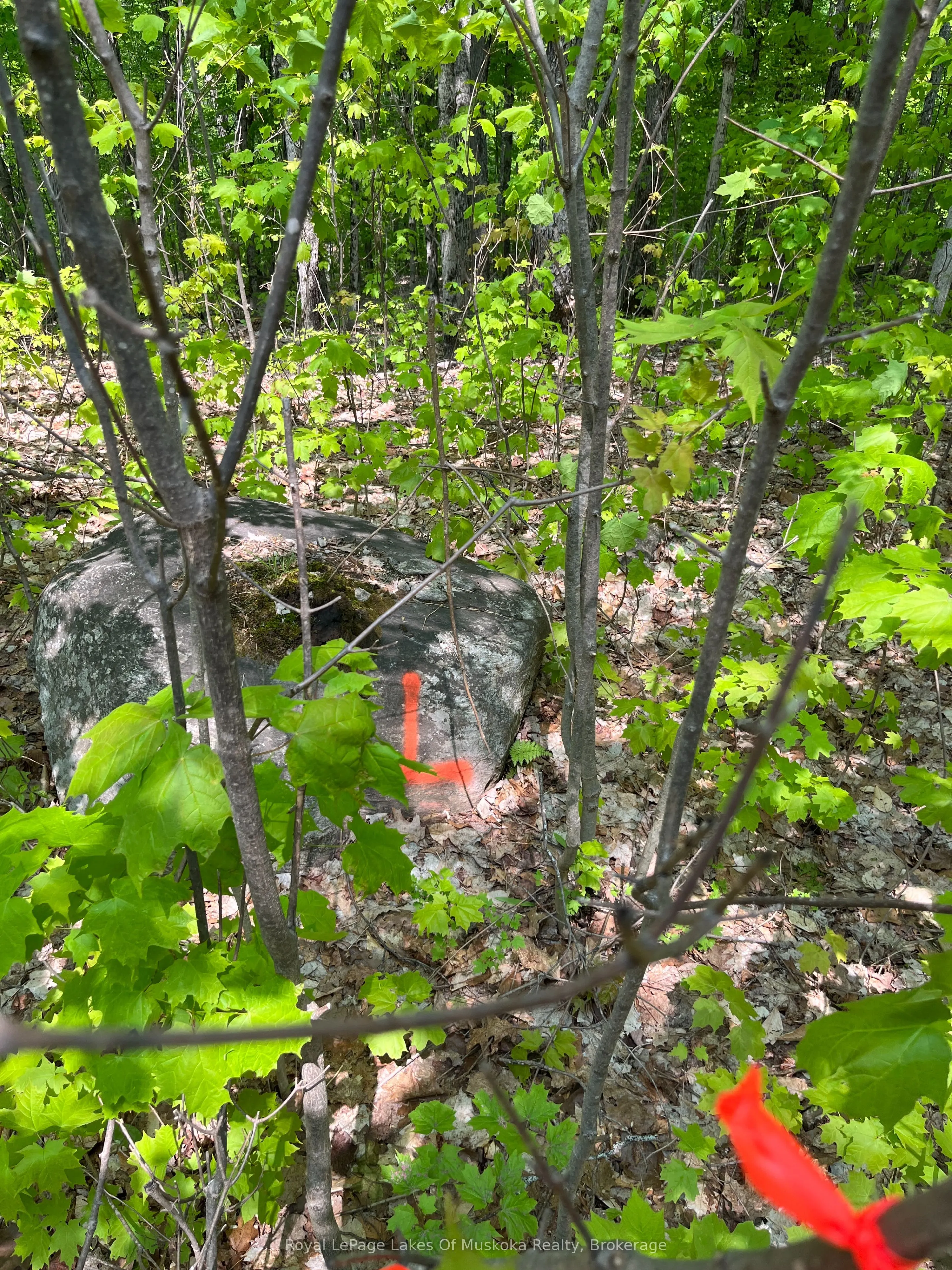 LOT 40 SUNSET Ridge