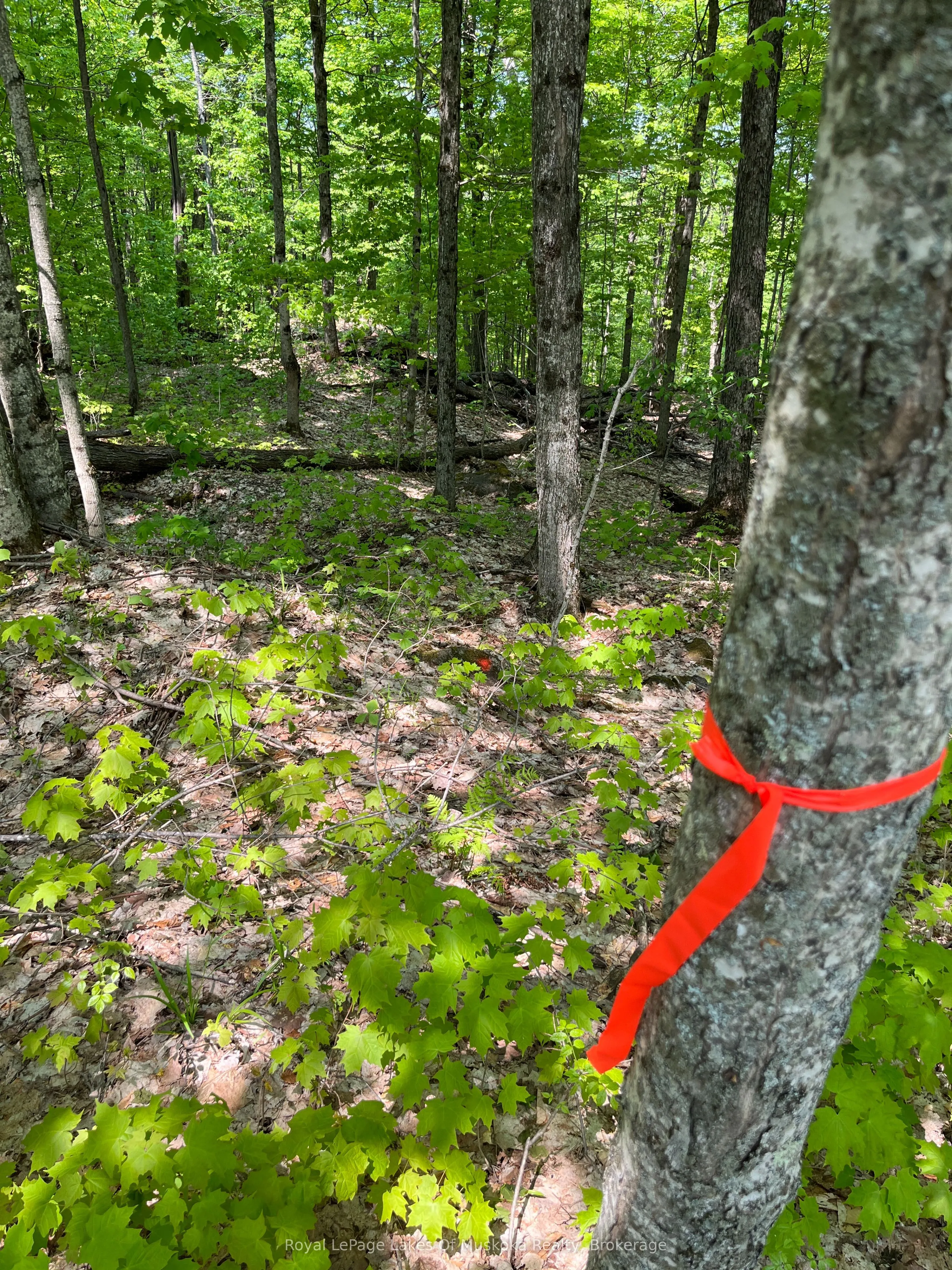 LOT 40 SUNSET Ridge