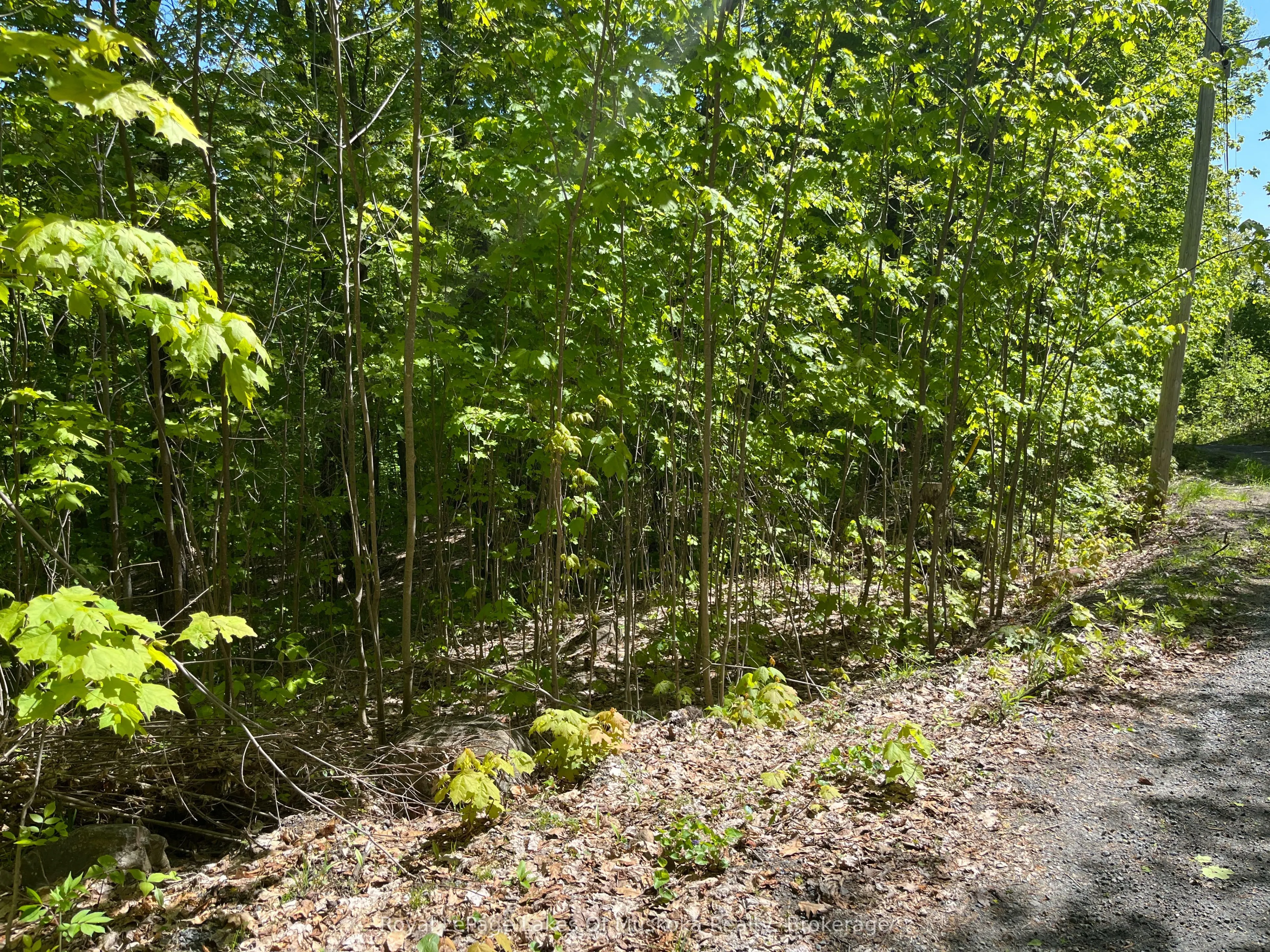 LOT 40 SUNSET Ridge