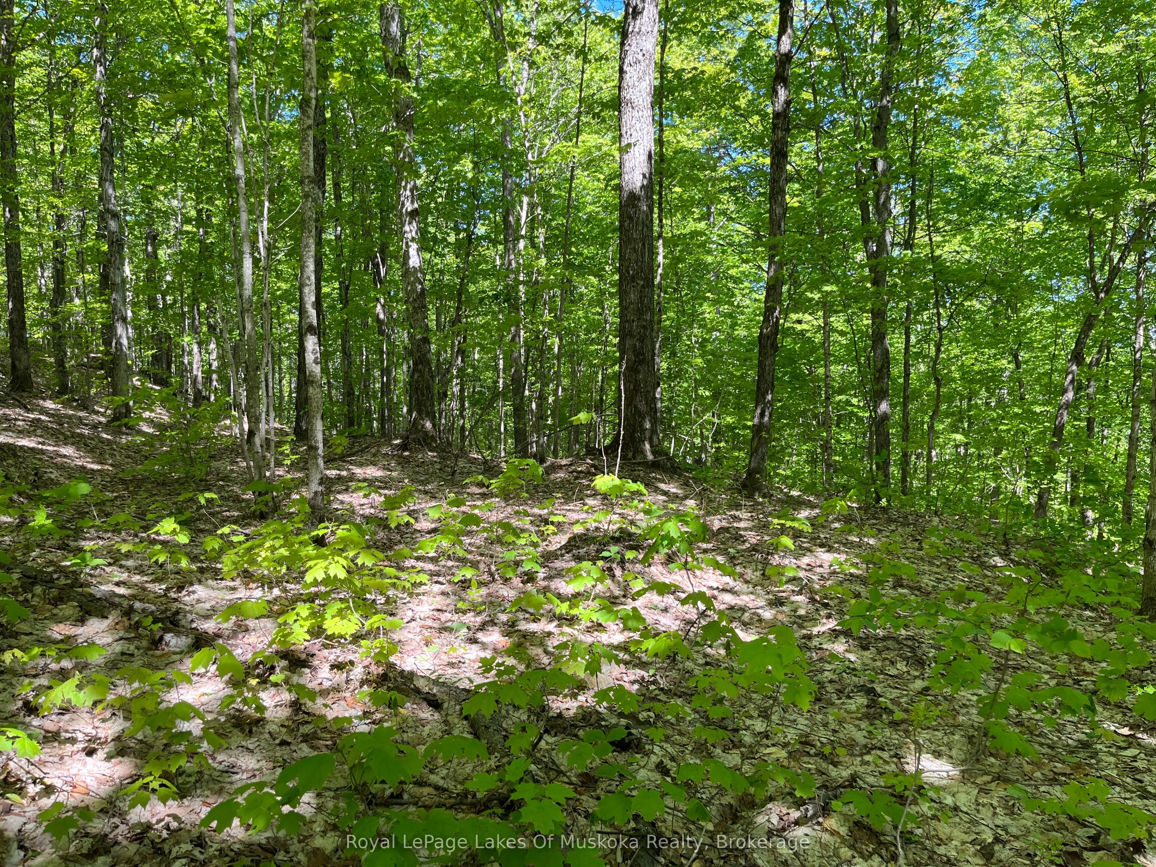 LOT 40 SUNSET Ridge