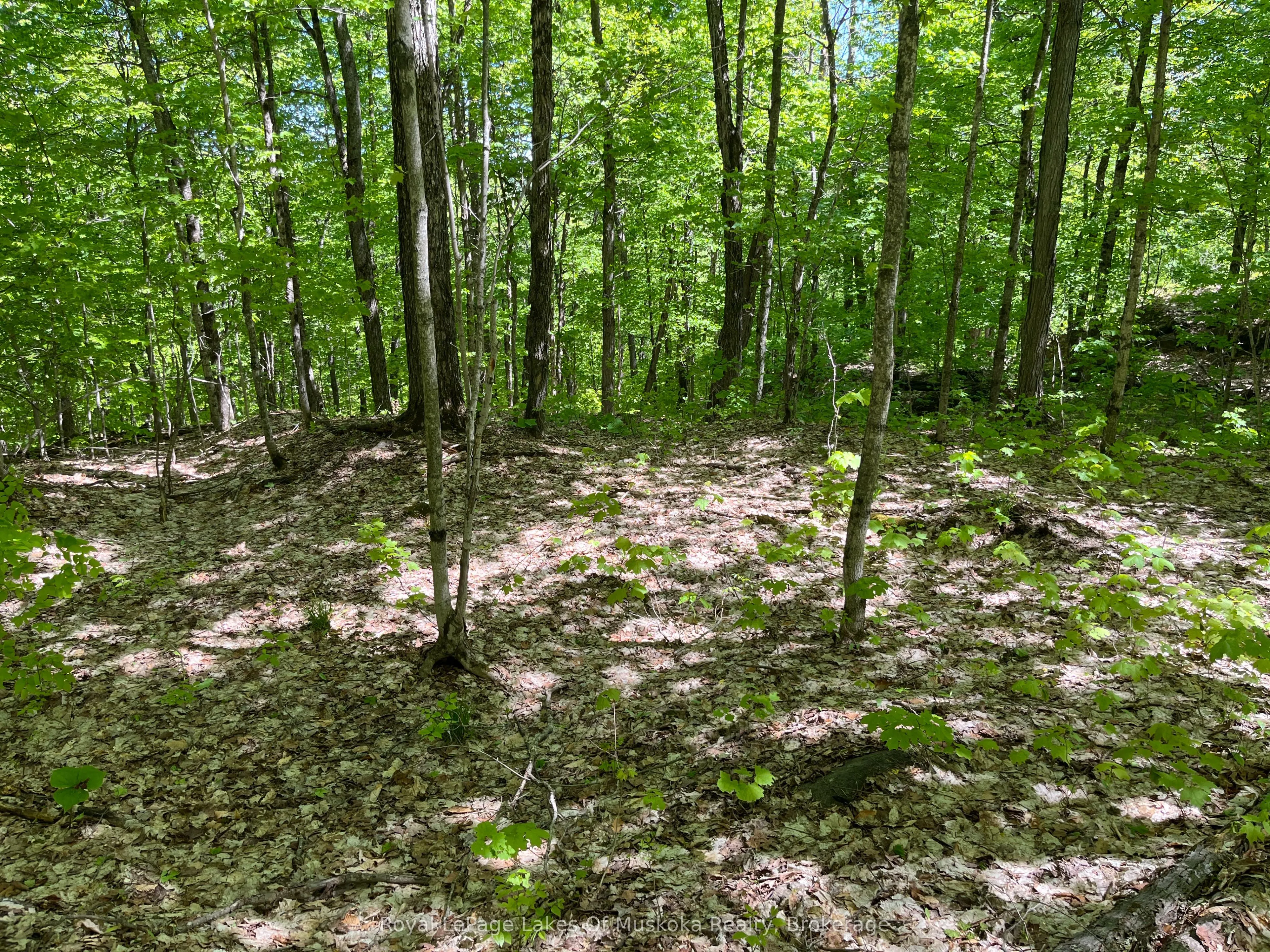 LOT 40 SUNSET Ridge