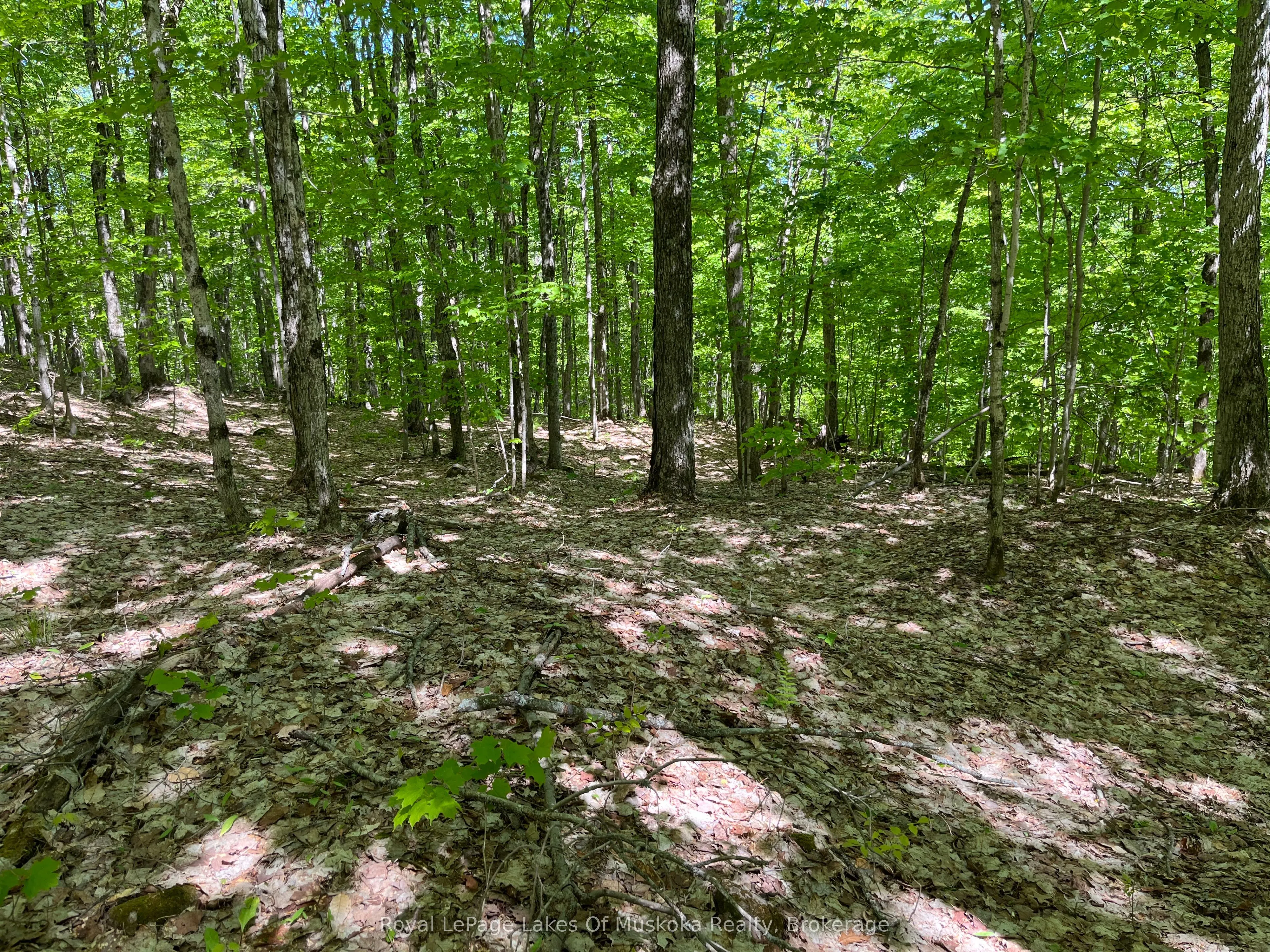 LOT 40 SUNSET Ridge