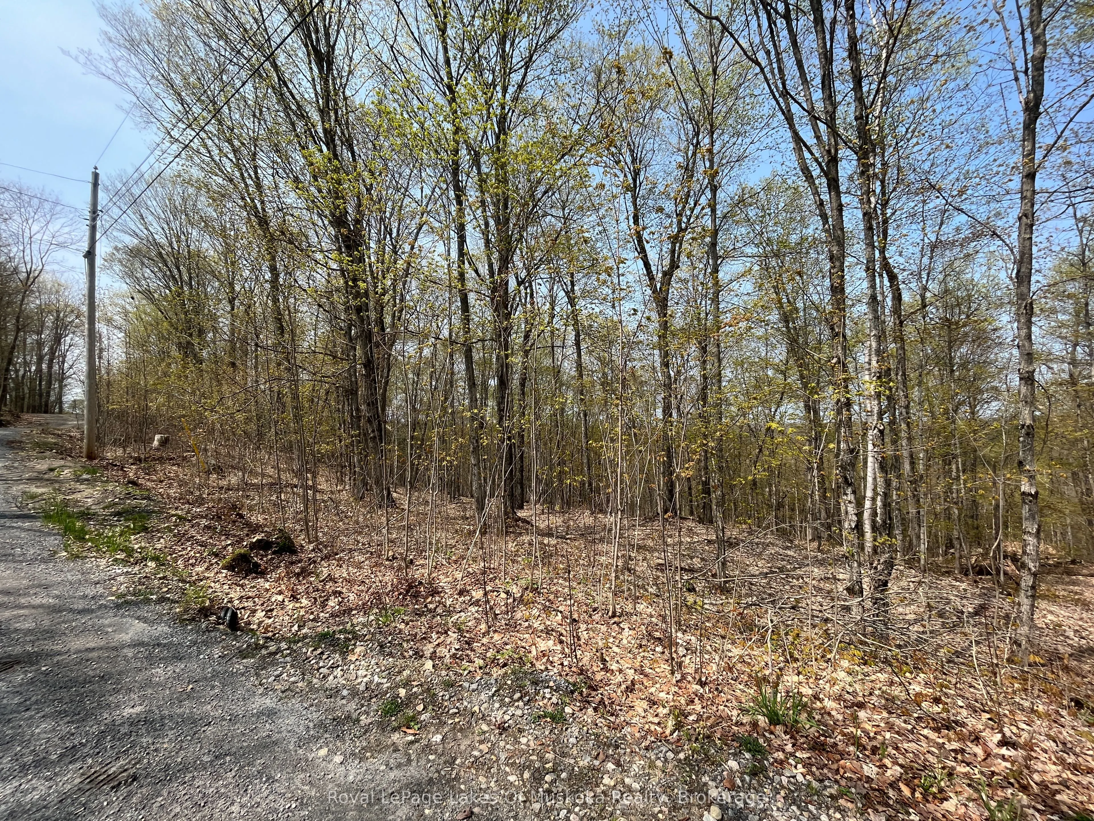 LOT 40 SUNSET Ridge