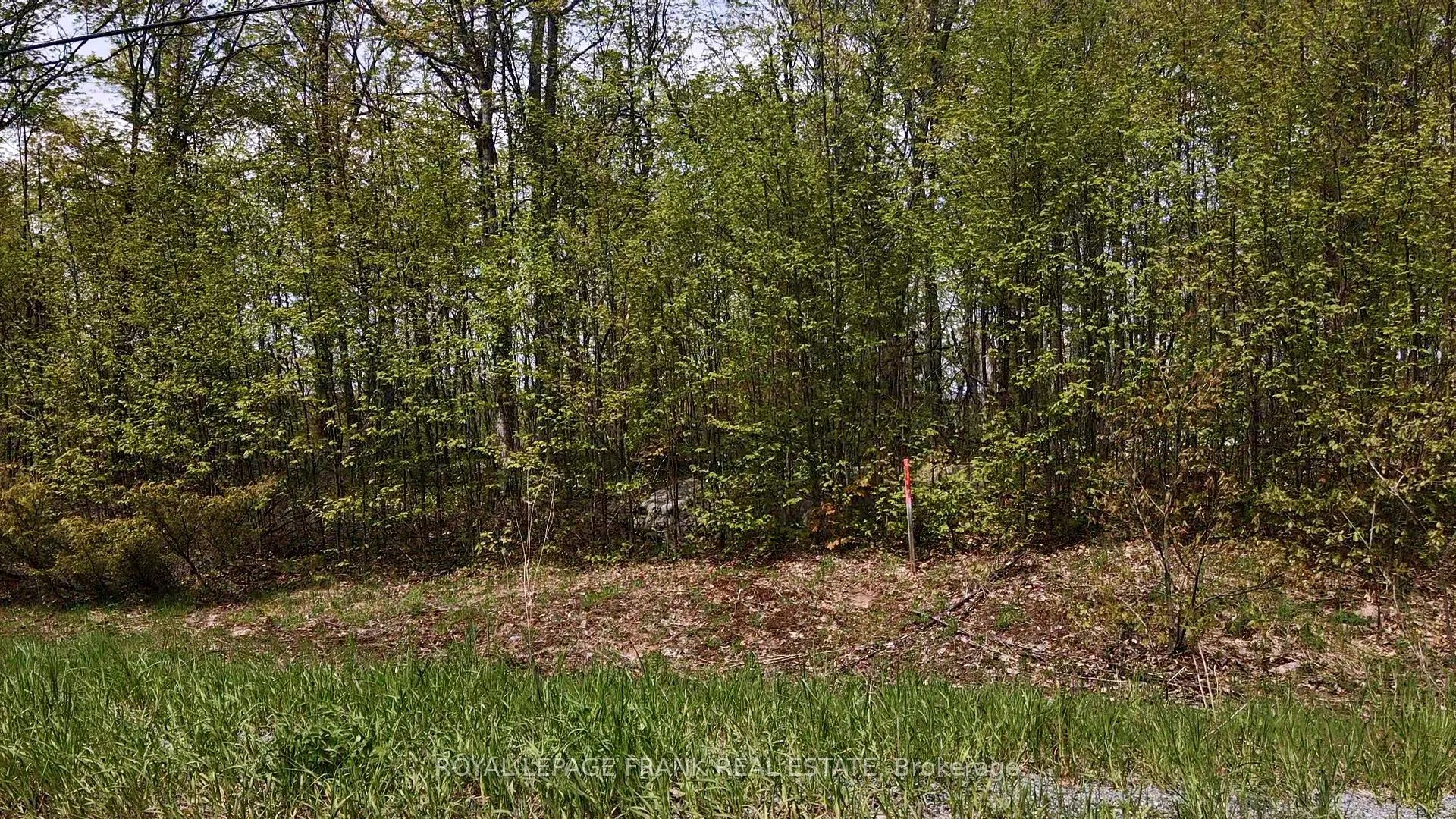 00 Birchview Road