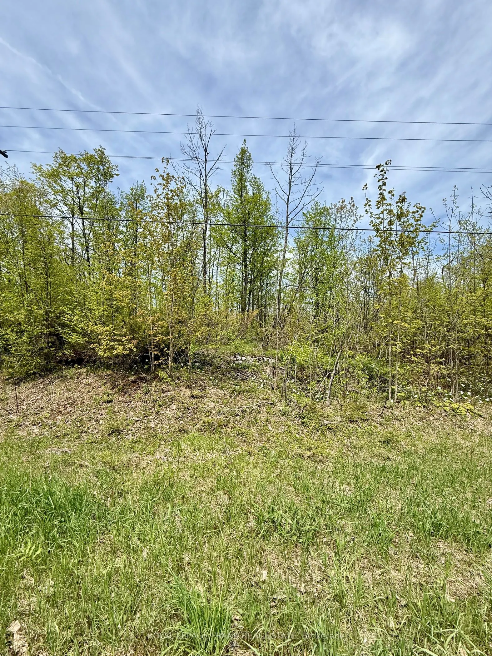 00 Birchview Road