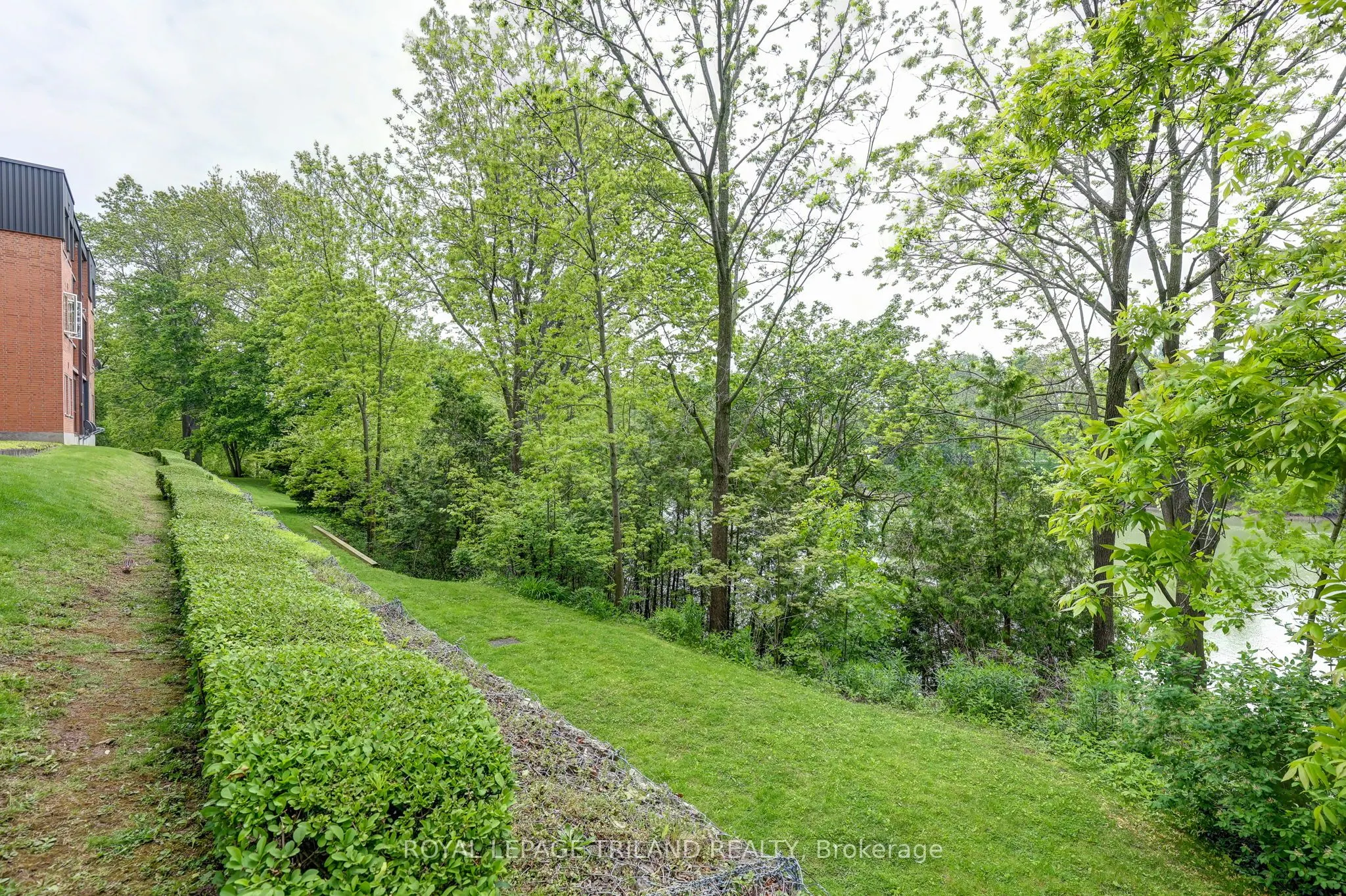 125 Elm Street, #11