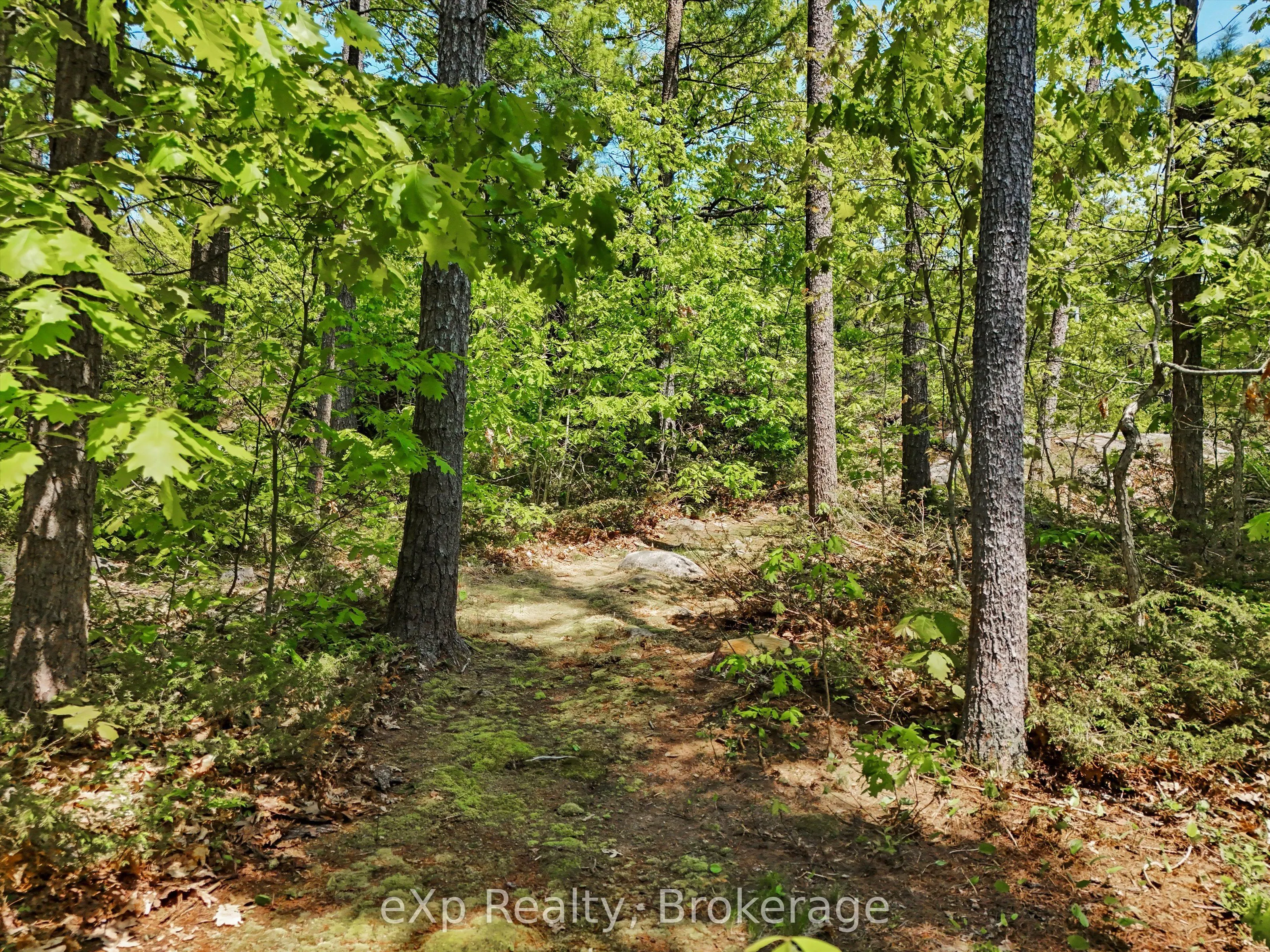 6646 1040LittleBeausoleil Island