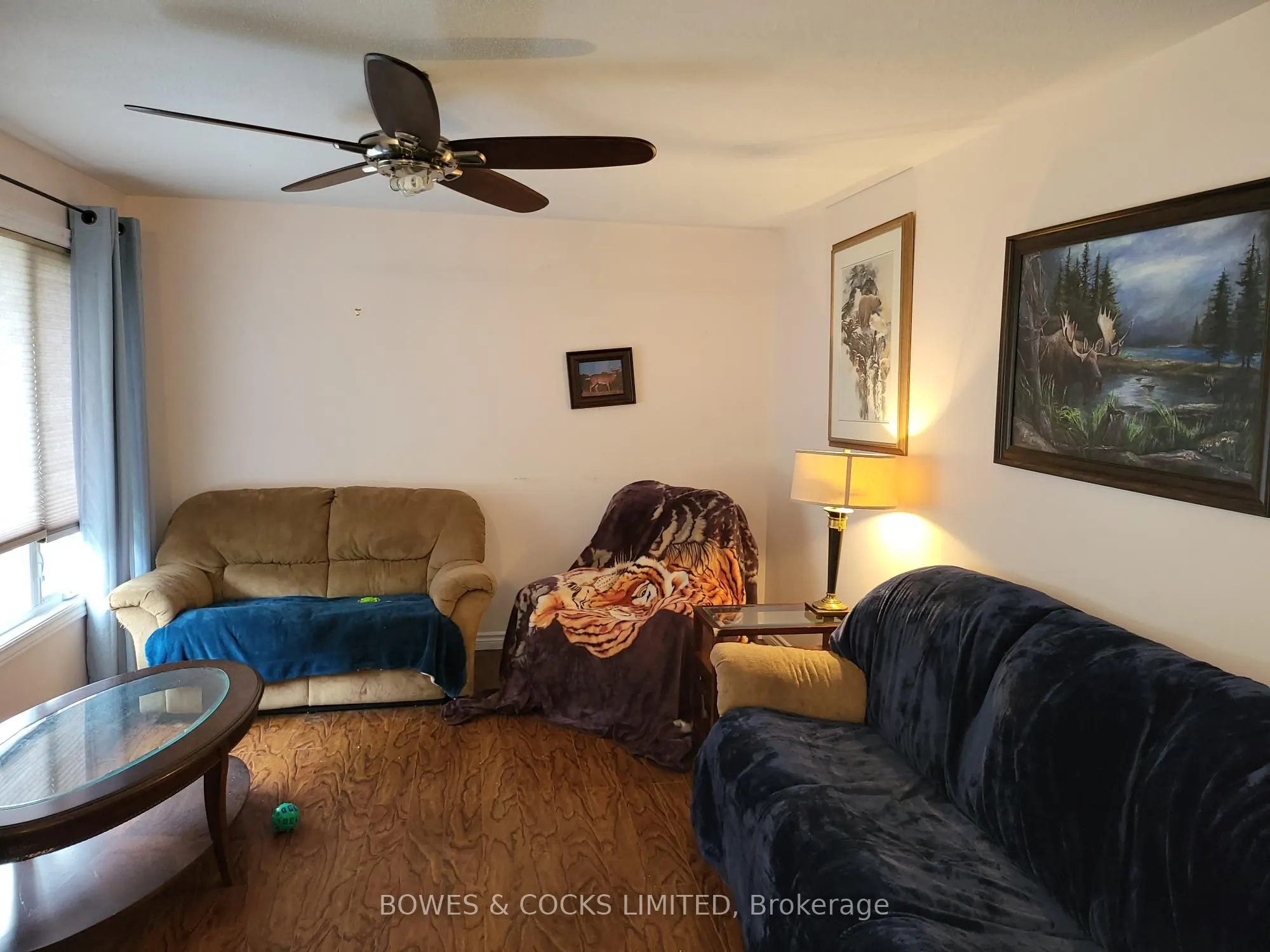 447 Frantz Road