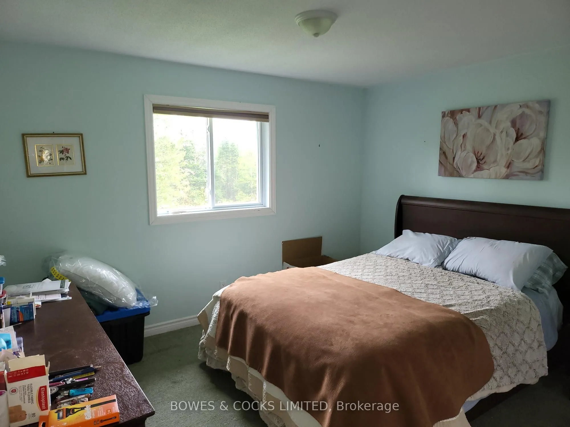 447 Frantz Road