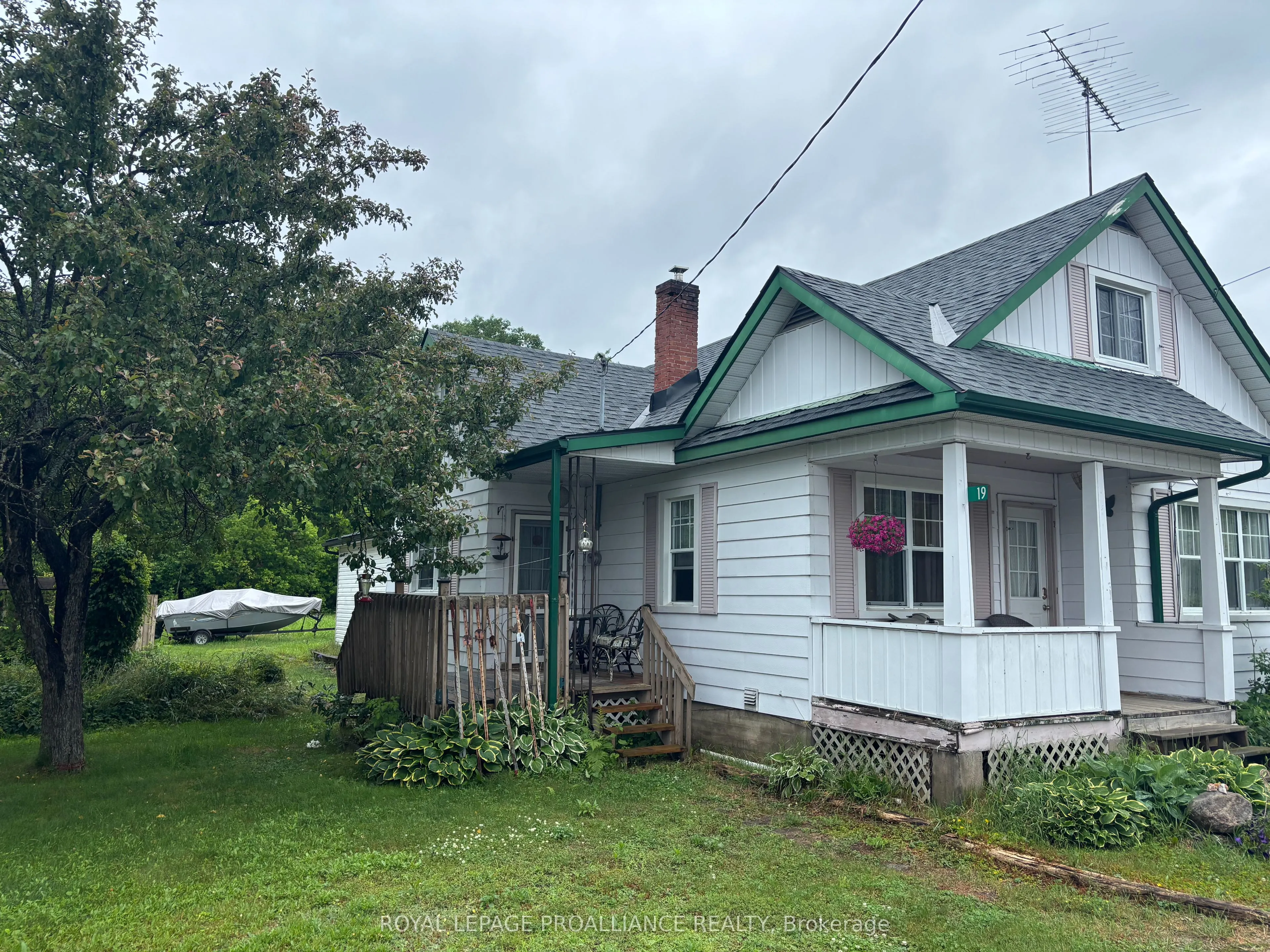 19 Wilno Street