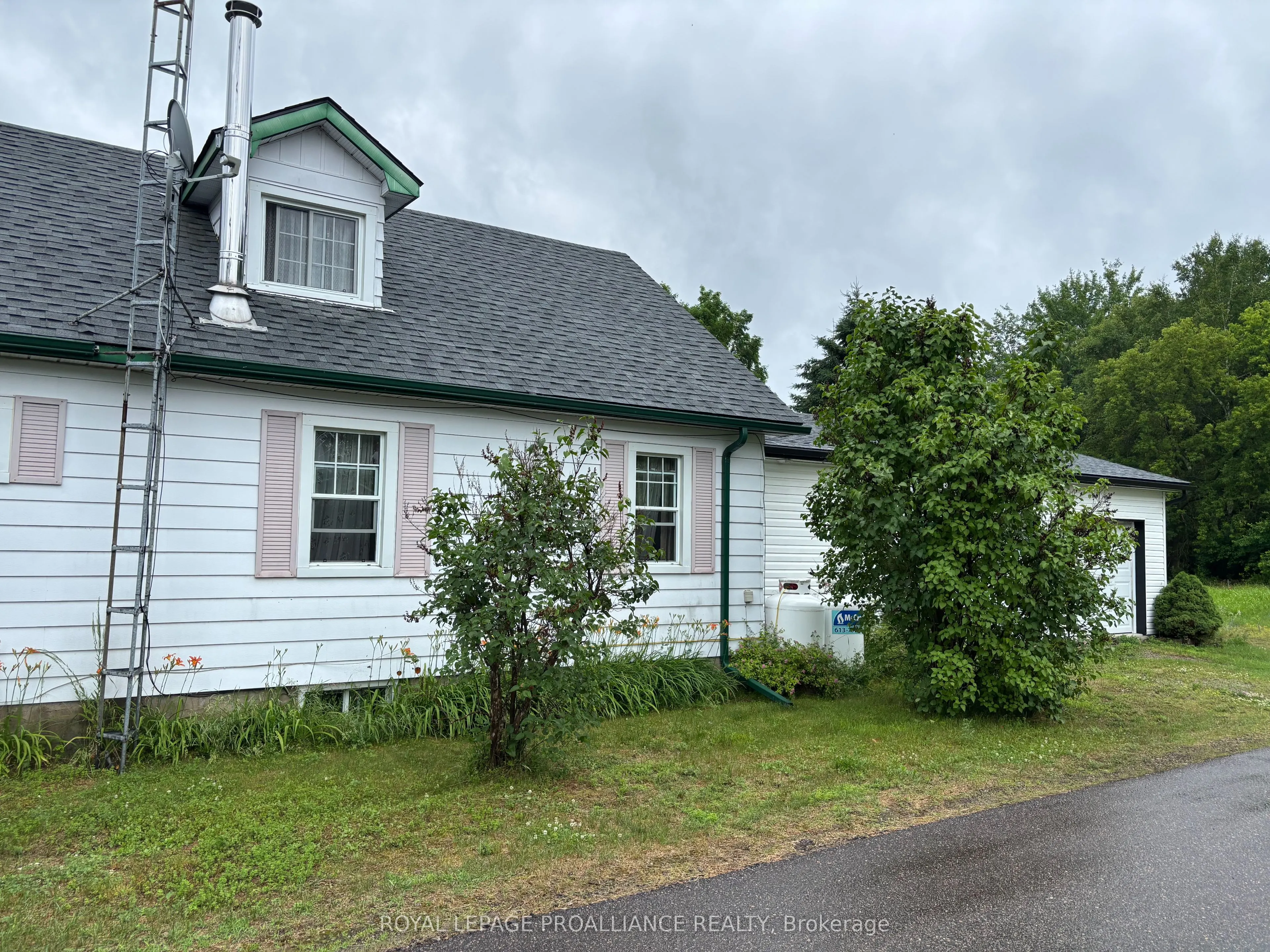 19 Wilno Street