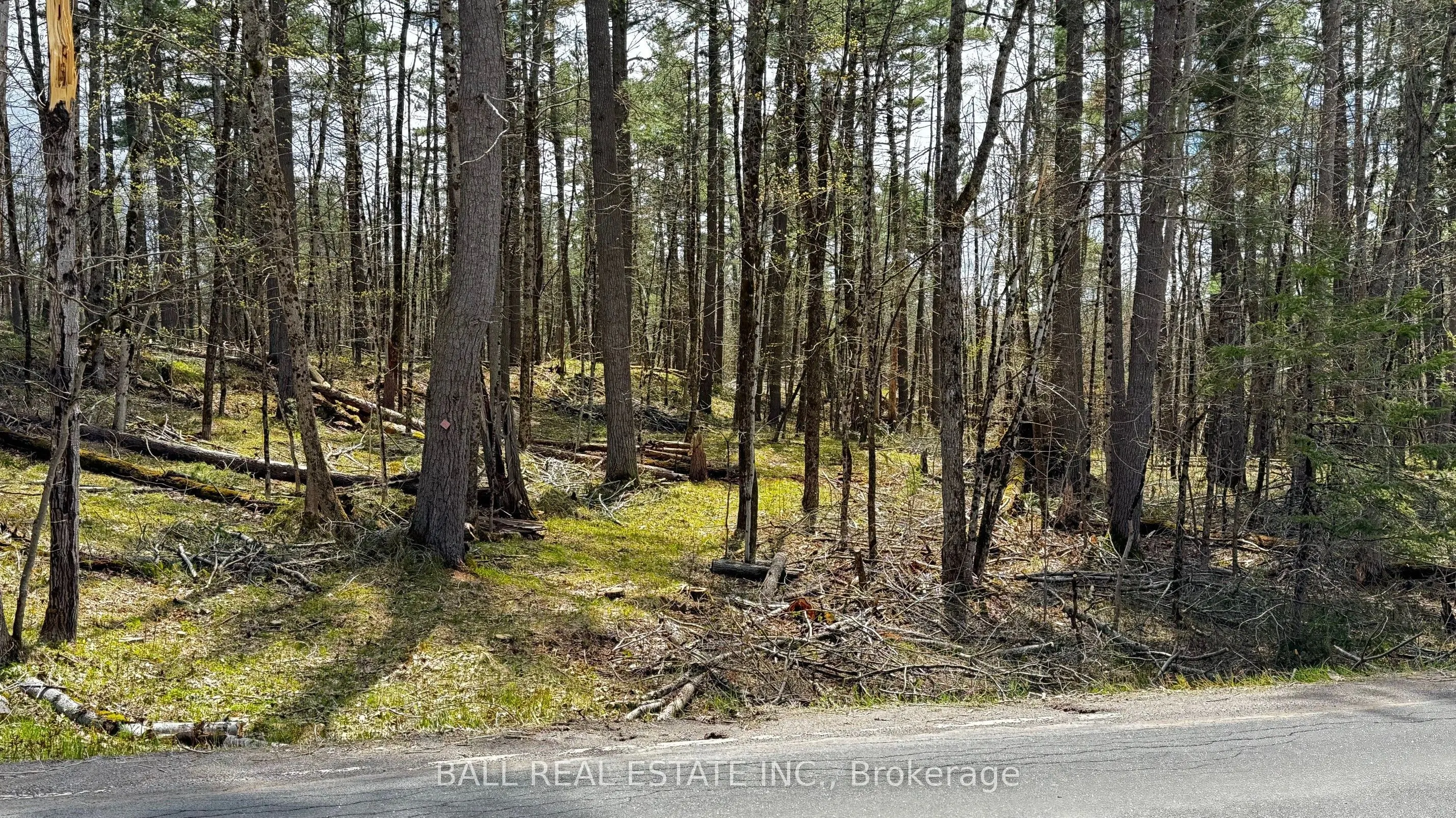 2348 Northeys Bay Road