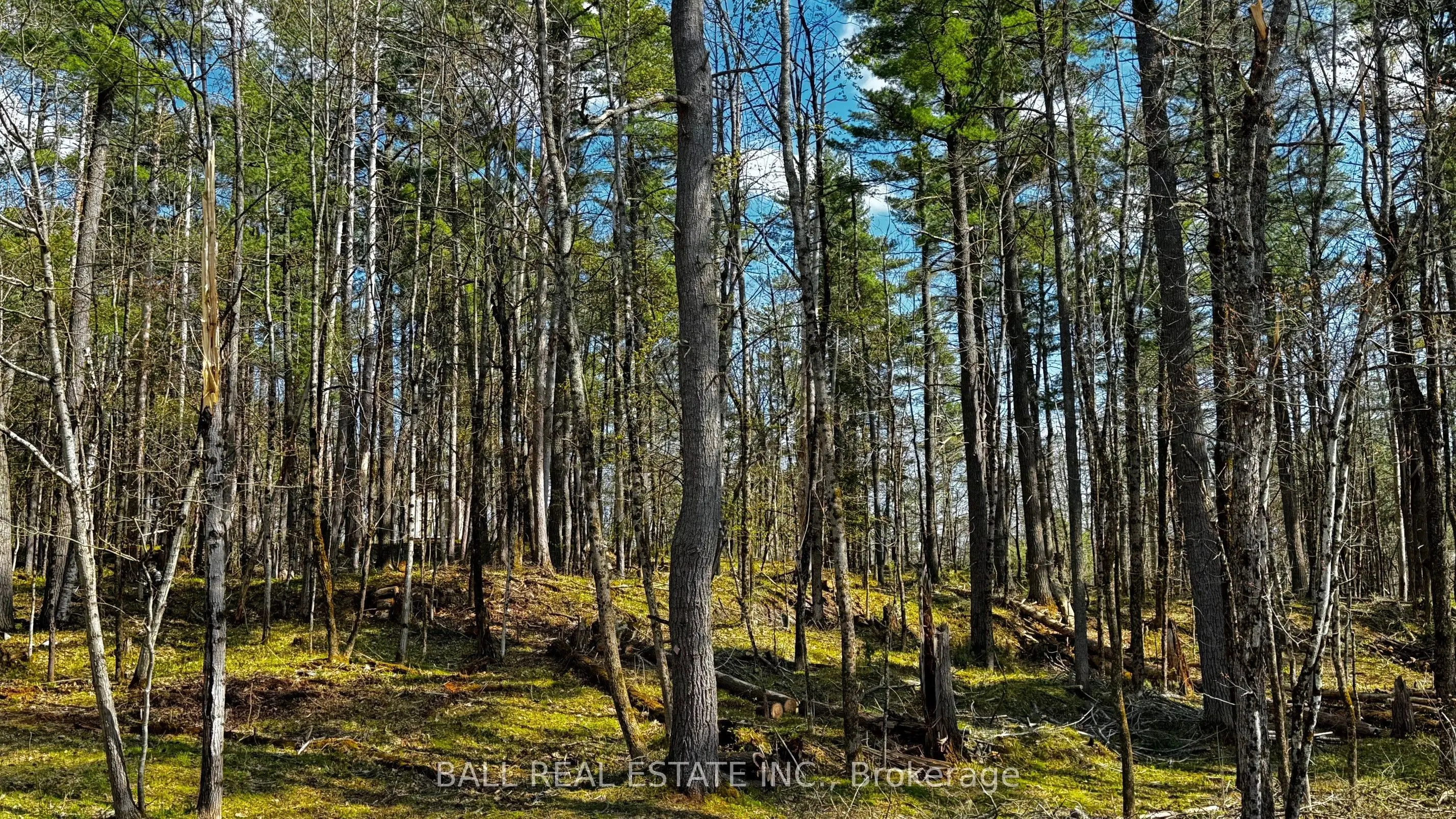 2348 Northeys Bay Road