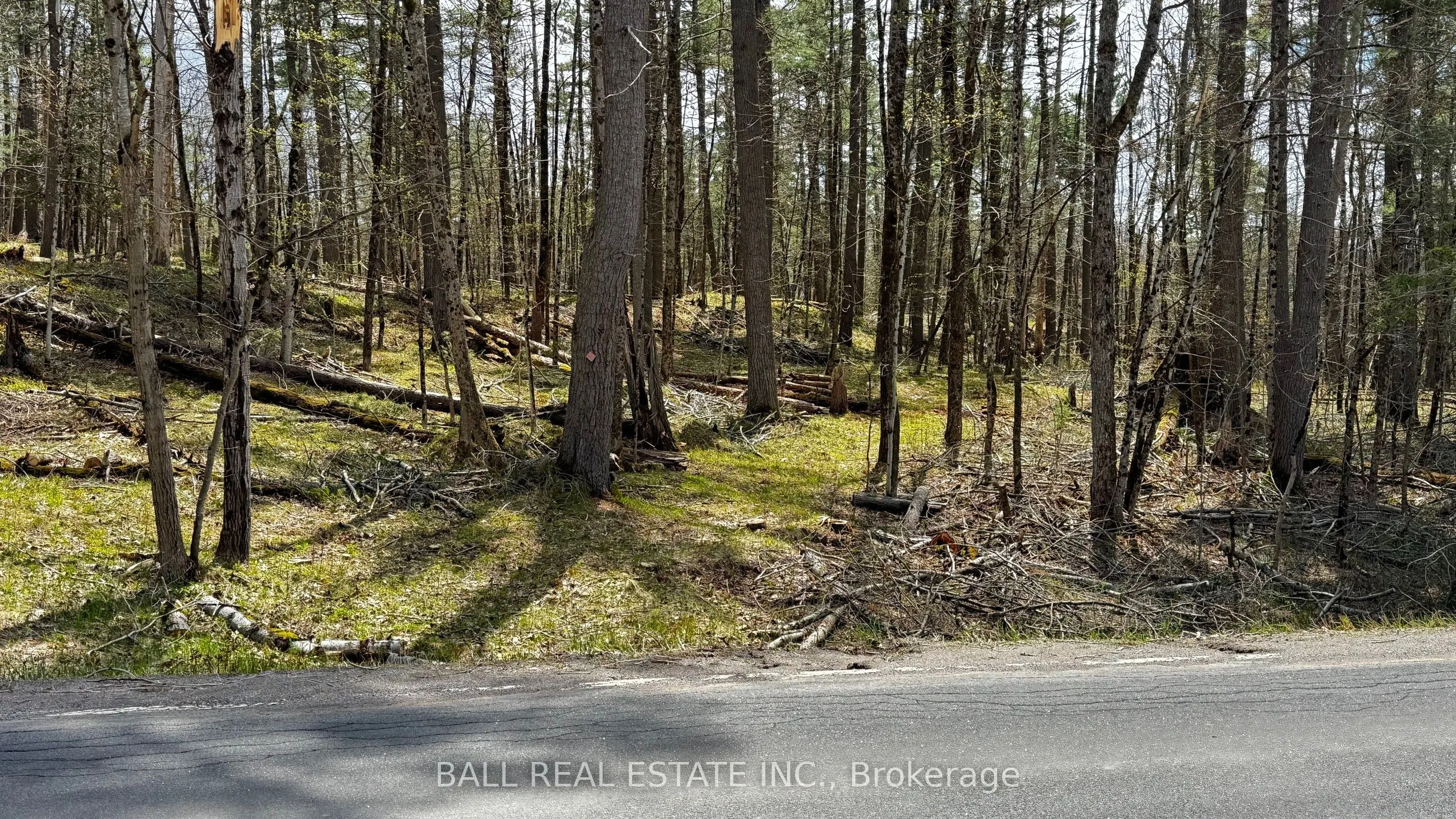 2348 Northeys Bay Road
