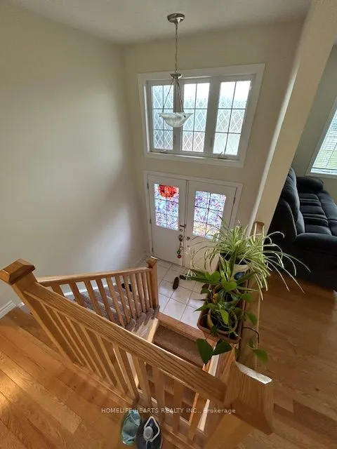 49 Dennis Drive