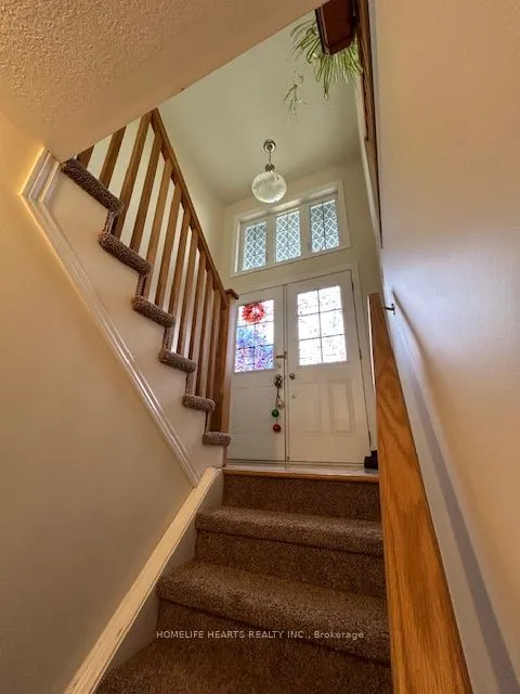 49 Dennis Drive