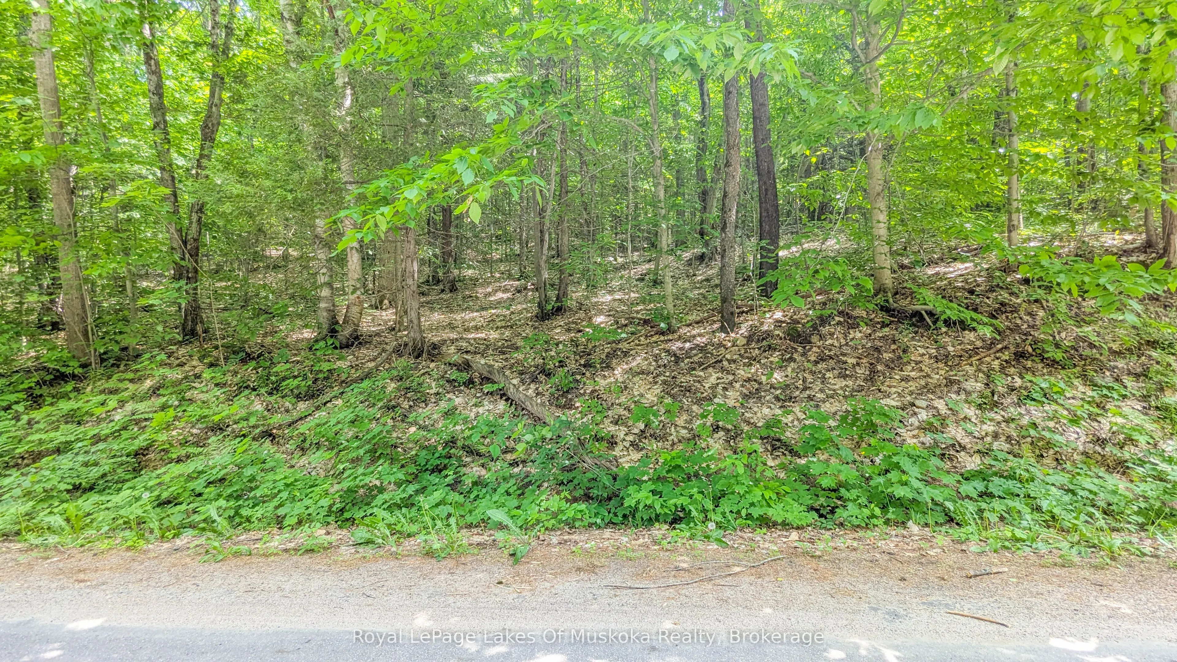 0 Rosseau Lake Rd 1