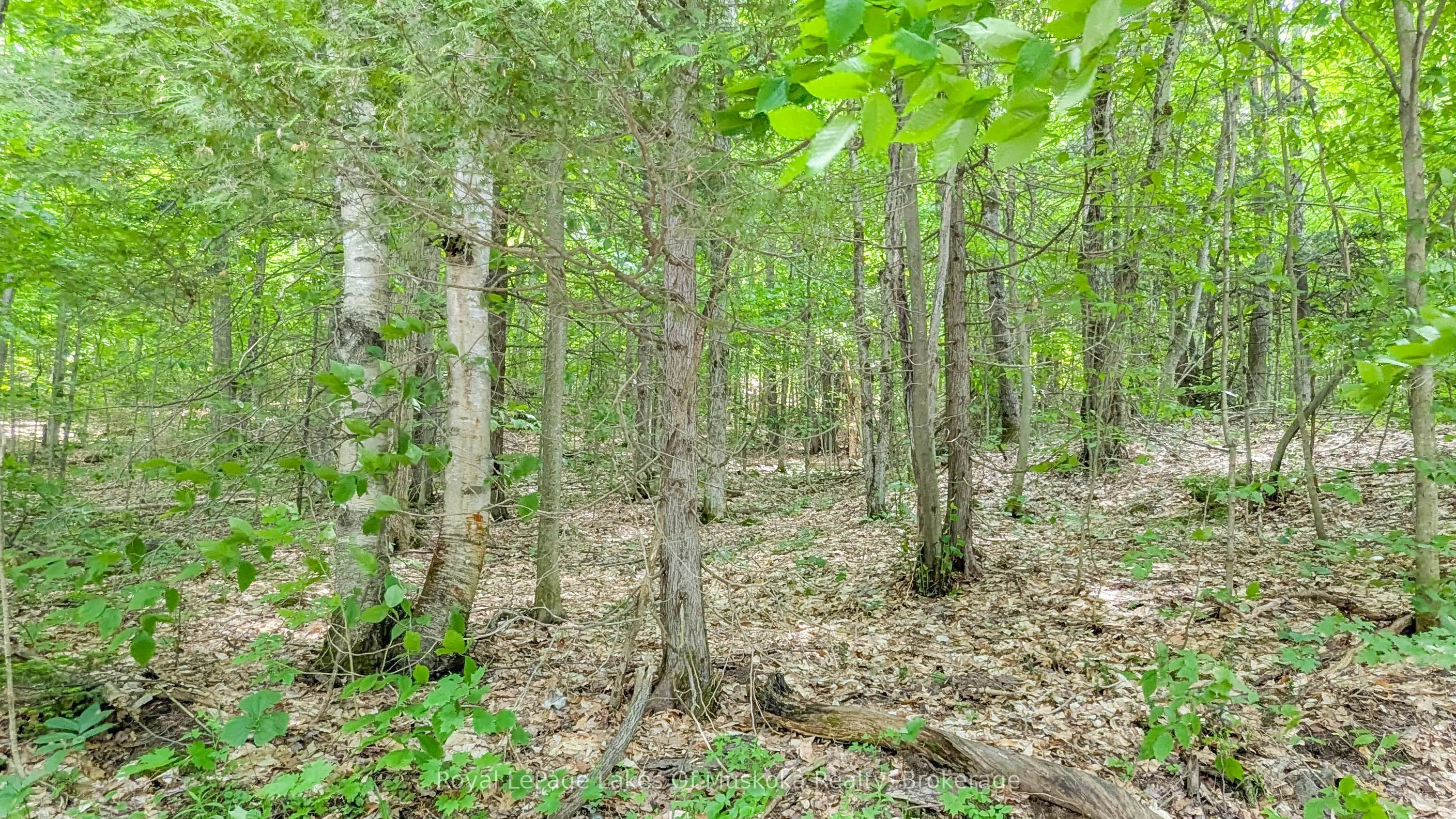 0 Rosseau Lake Rd 1