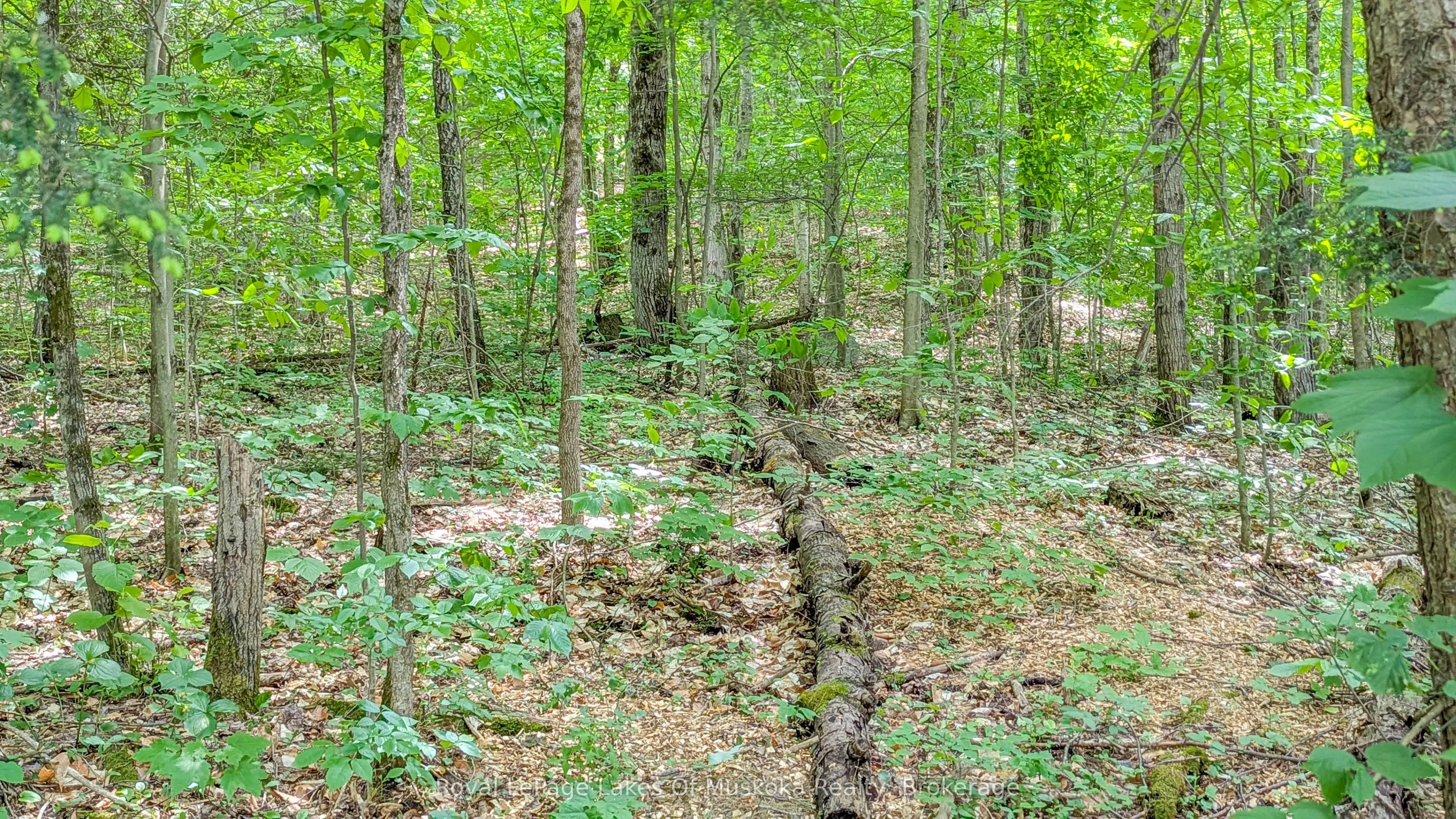 0 Rosseau Lake Rd 1