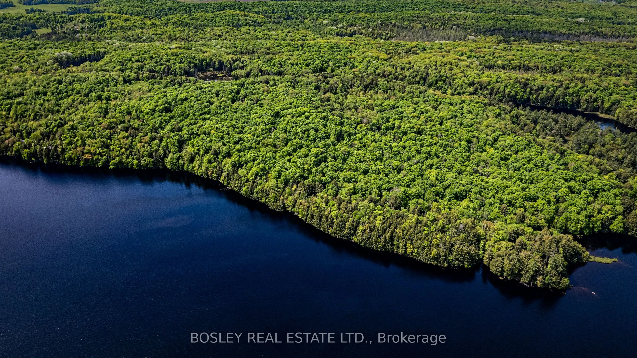 1310 Camel Lake Road, #Unit 13 Lot 6