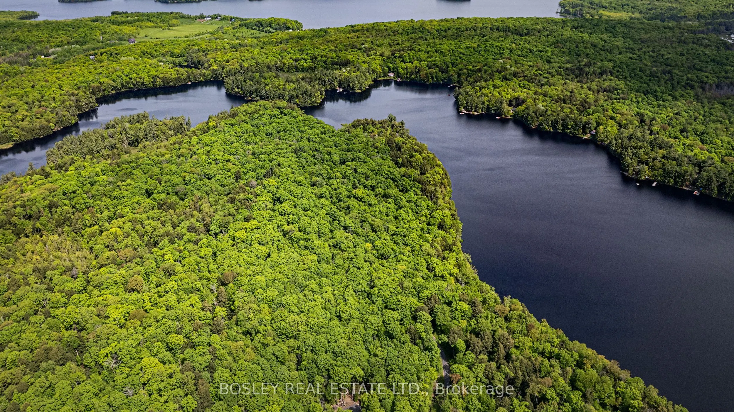 1310 Camel Lake Road, #Unit 13 Lot 6