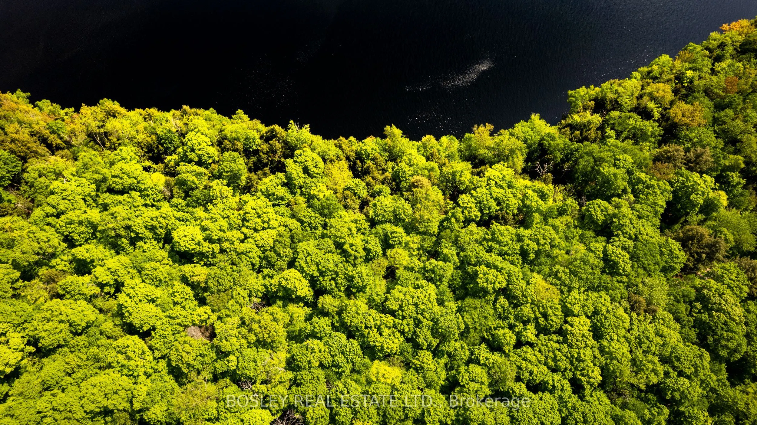1310 Camel Lake Road, #Unit 13 Lot 6