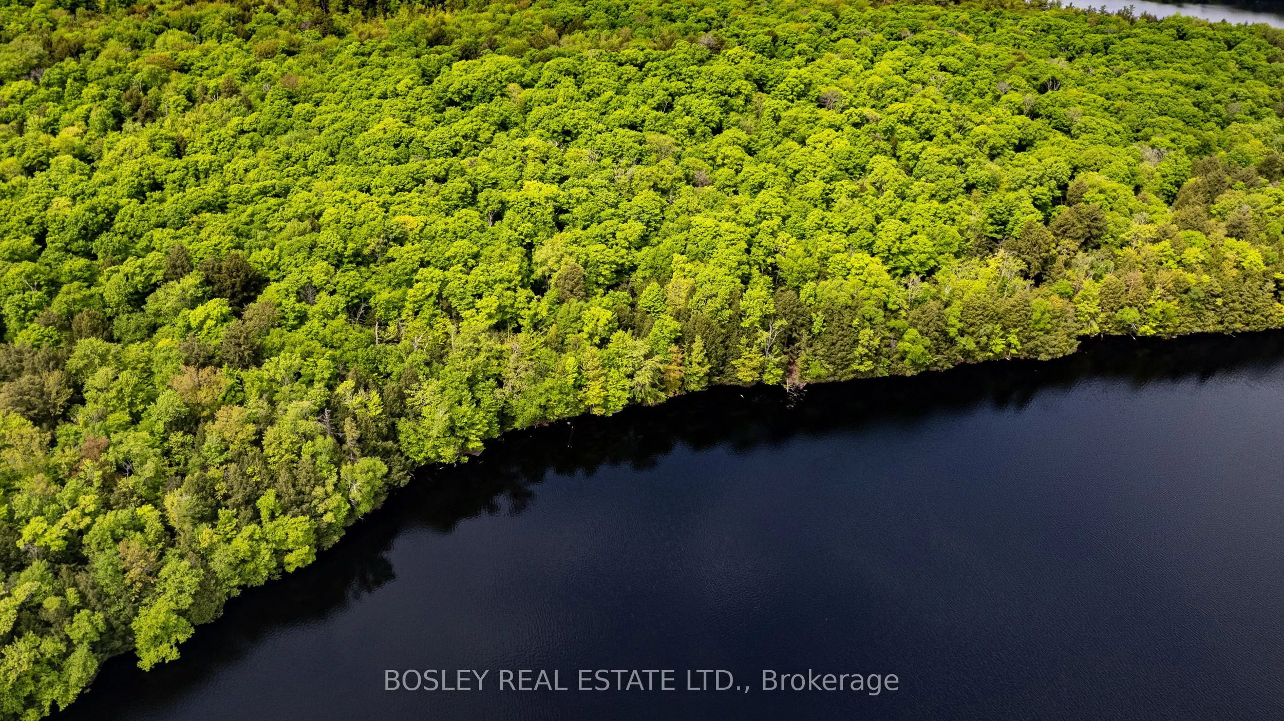 1310 Camel Lake Road, #Unit 13 Lot 6