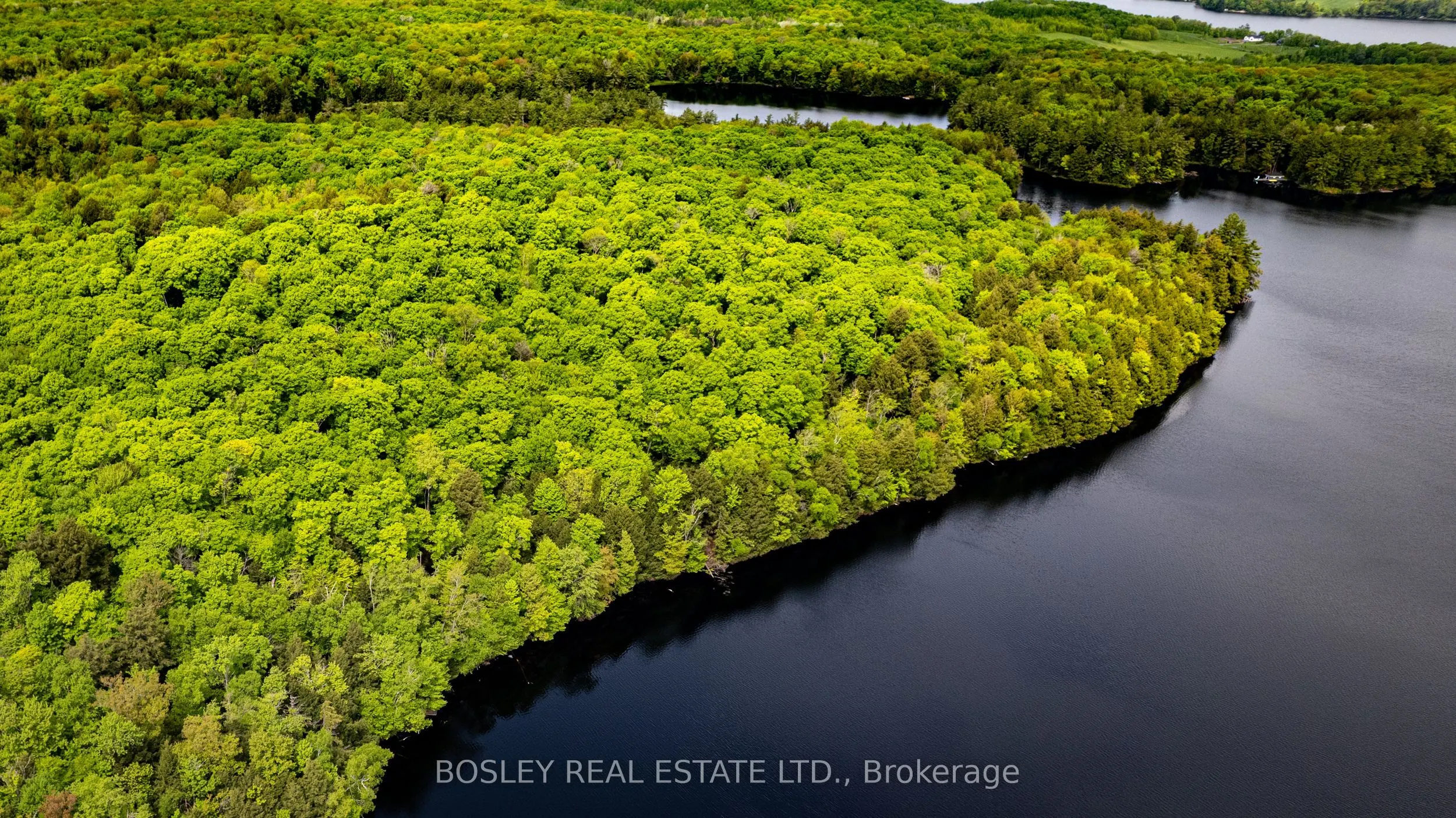 1310 Camel Lake Road, #Unit 13 Lot 6