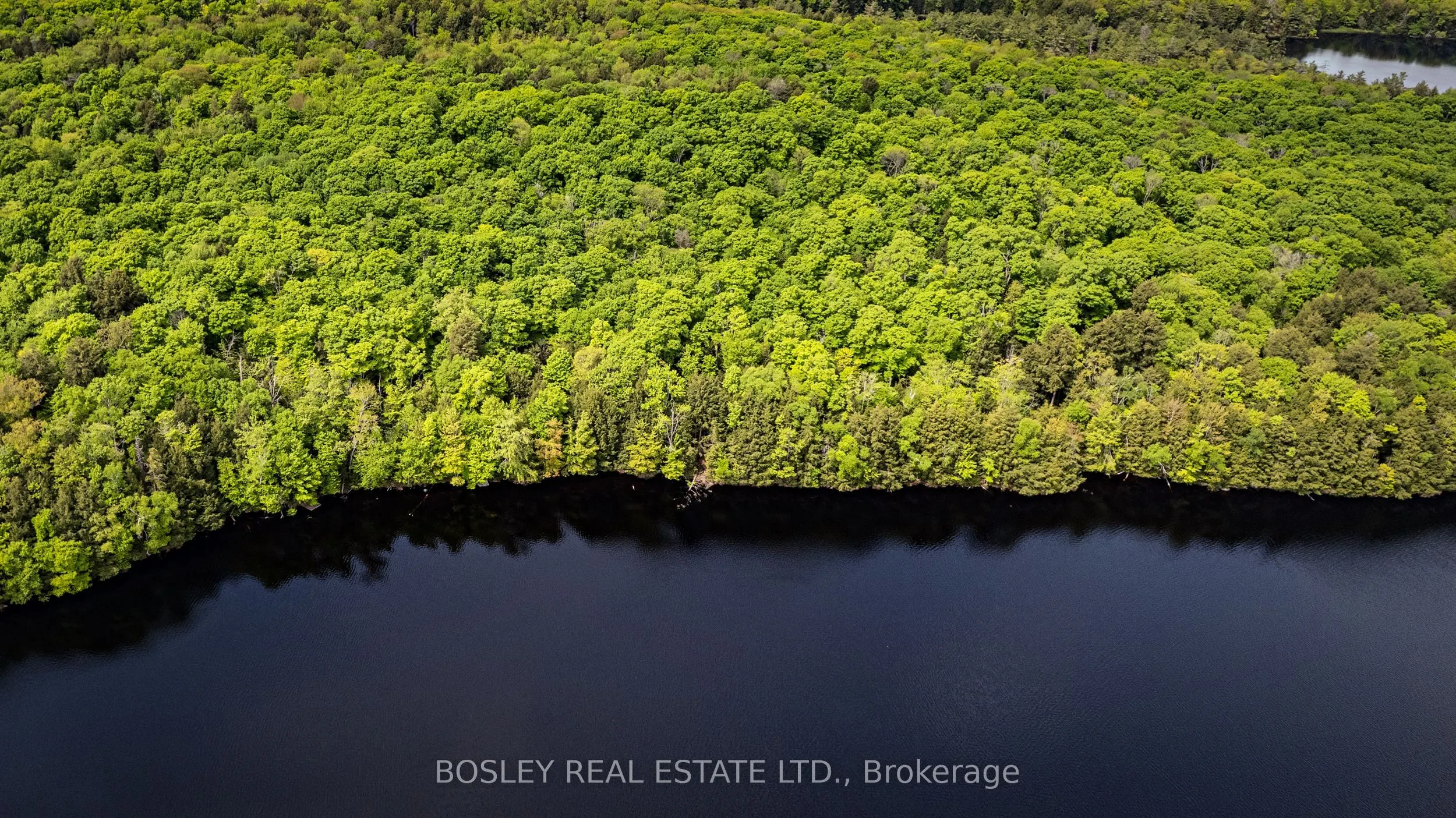 1310 Camel Lake Road, #Unit 13 Lot 6