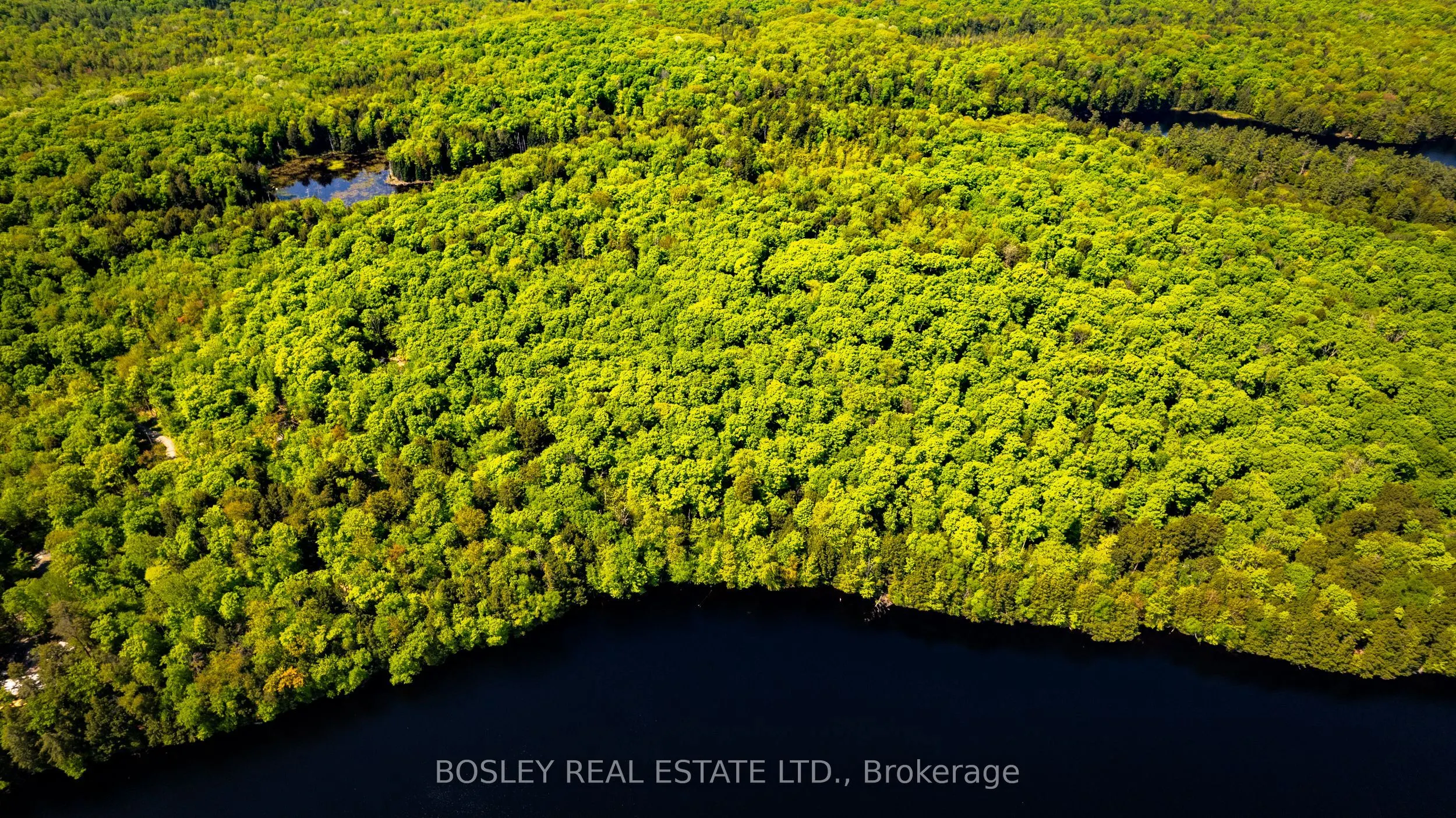 1310 Camel Lake Road, #Unit 13 Lot 6