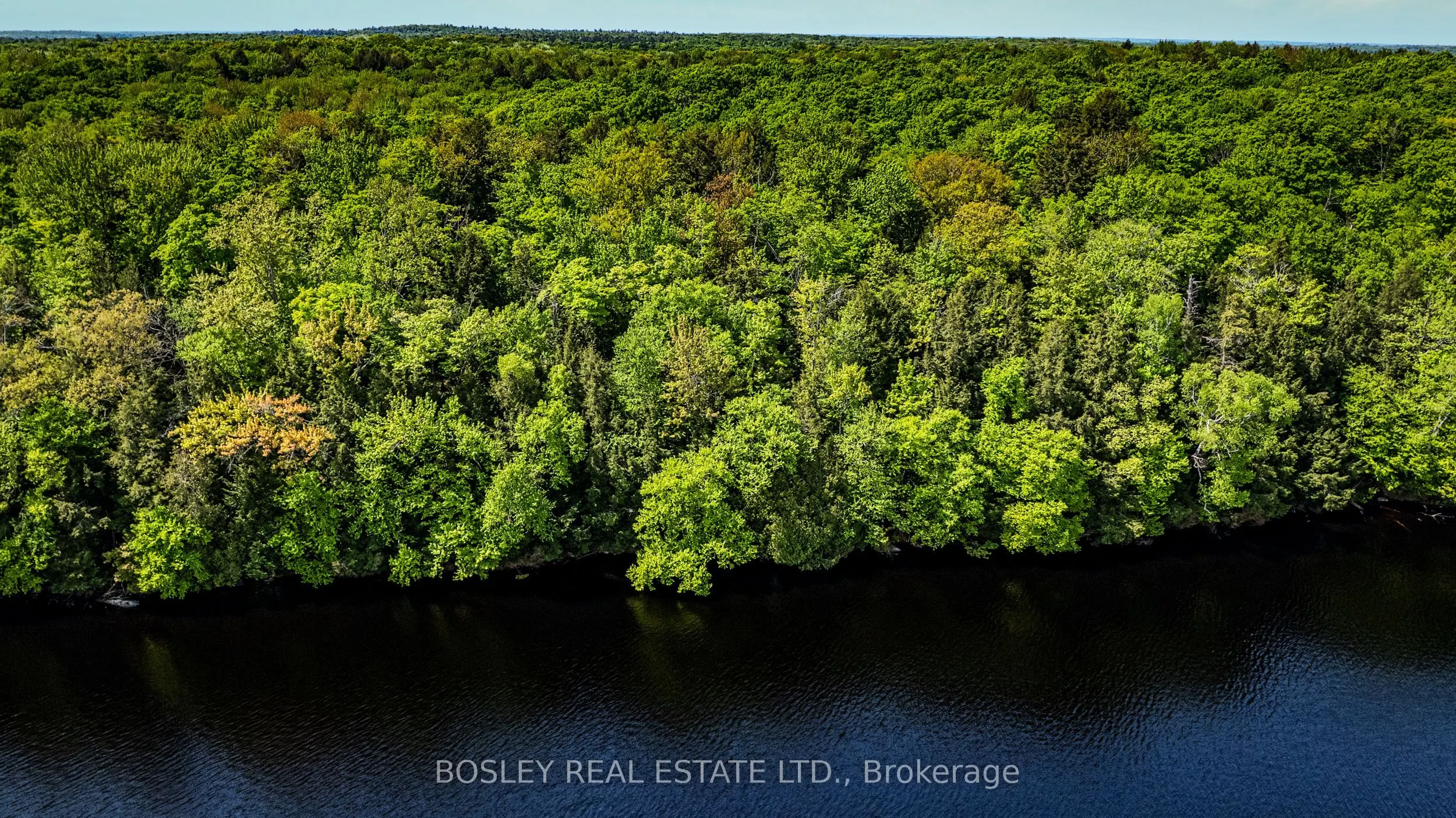 1310 Camel Lake Road, #Unit 13 Lot 6
