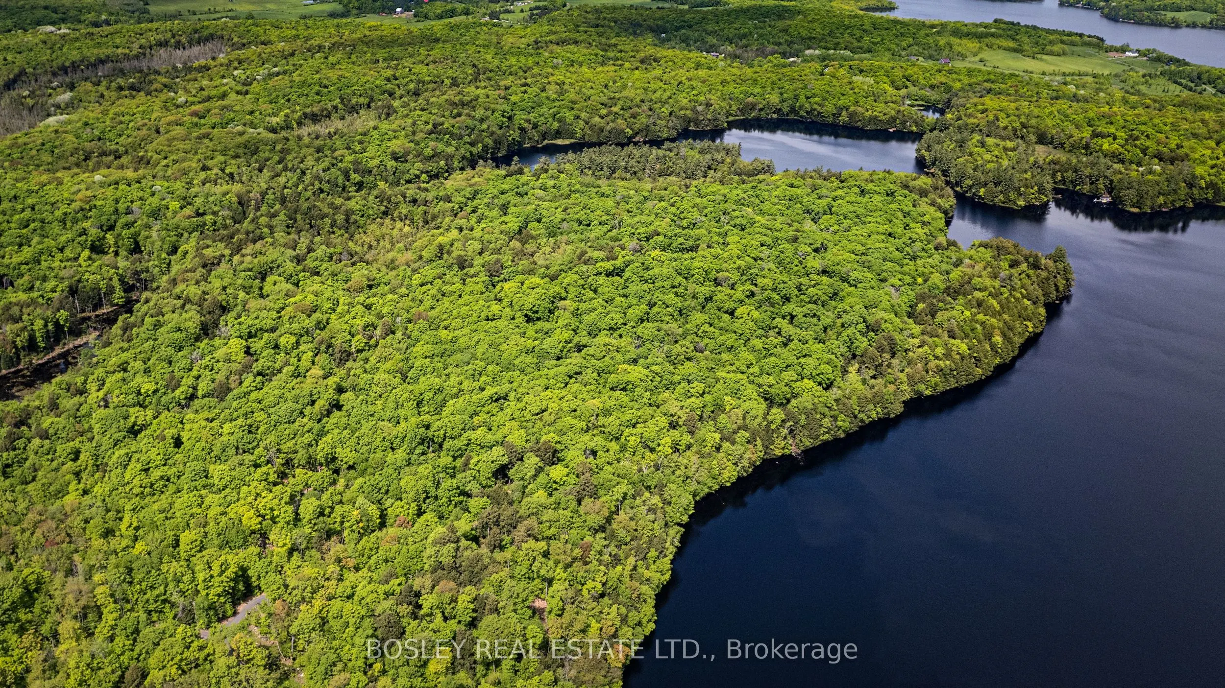 1310 Camel Lake Road, #Unit 13 Lot 6