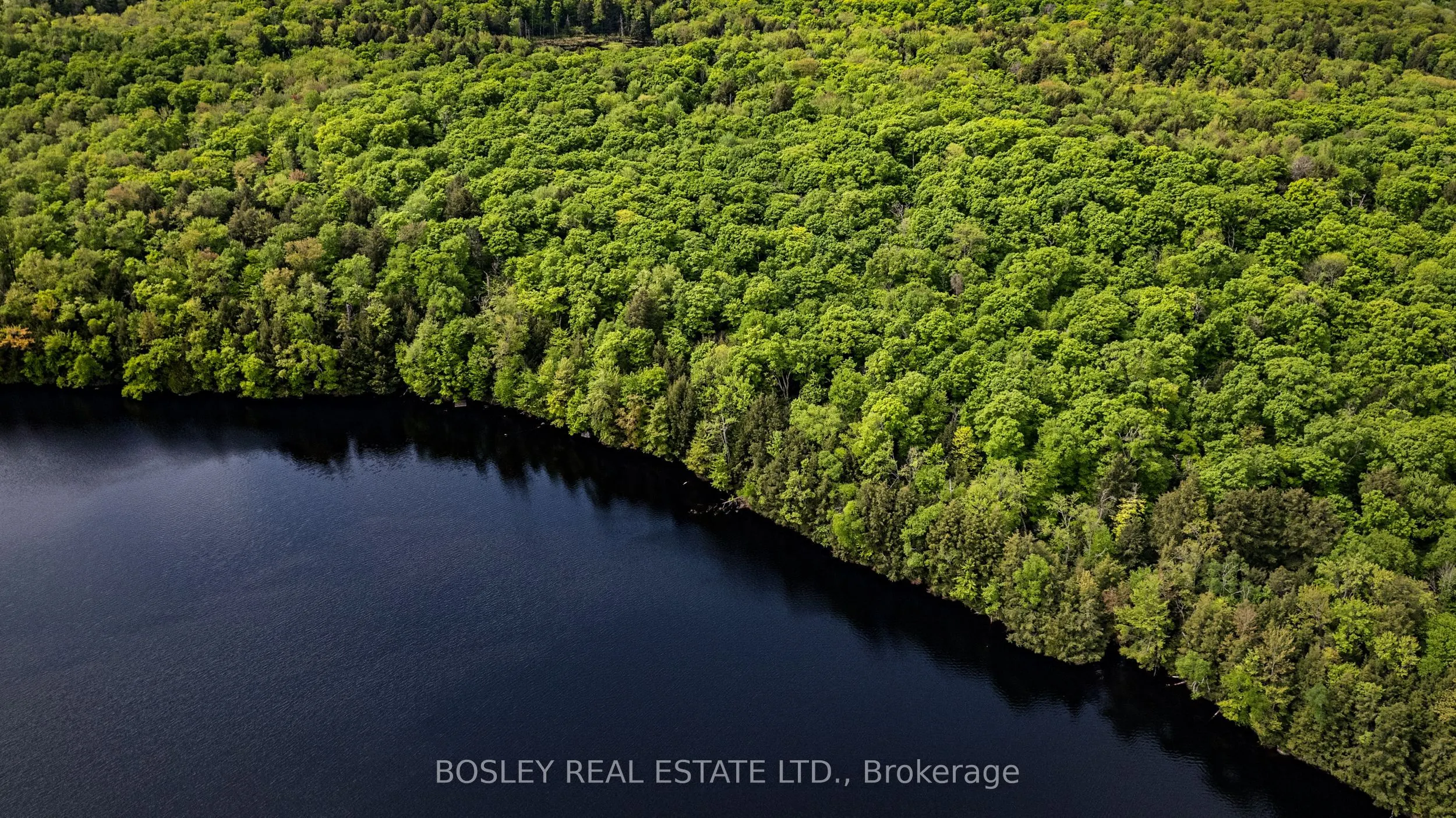 1310 Camel Lake Road, #Unit 13 Lot 6
