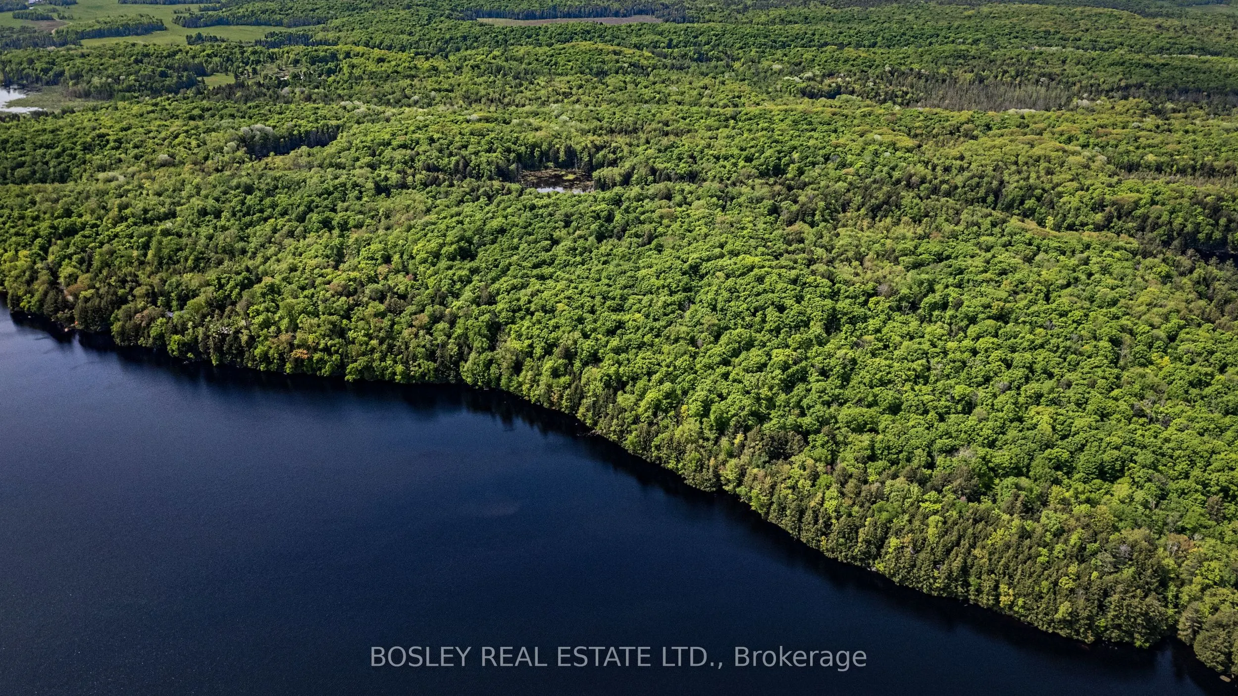 1310 Camel Lake Road, #Unit 13 Lot 6