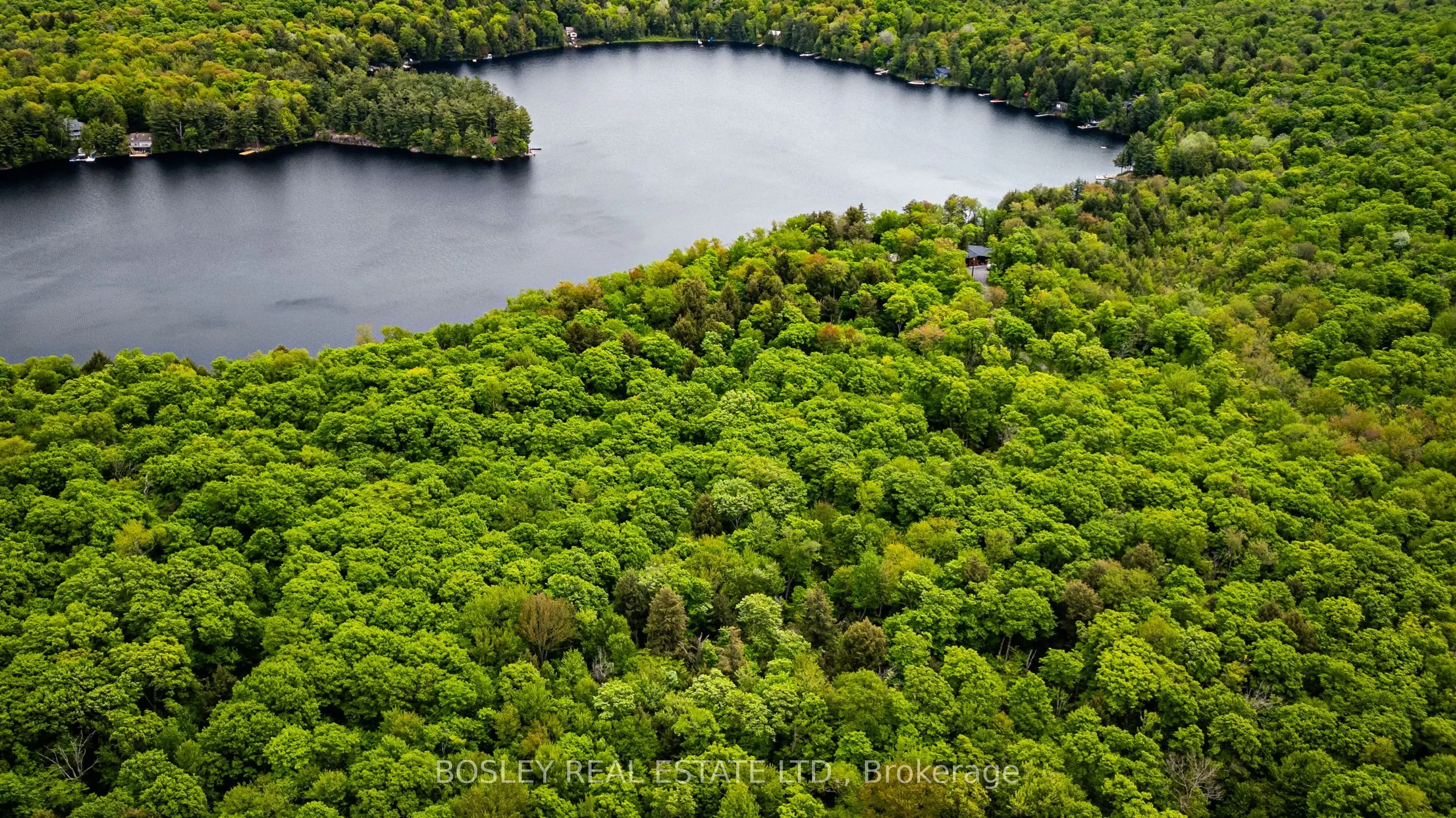 1310 Camel Lake Road, #Unit 13 Lot 6