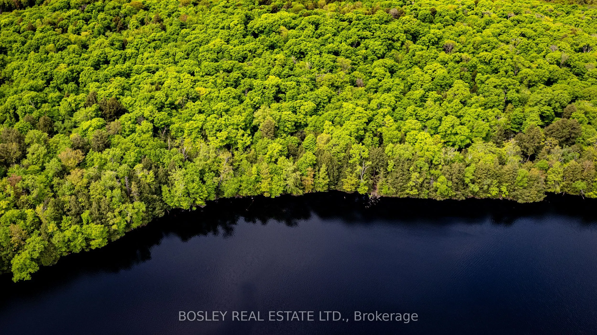 1310 Camel Lake Road, #Unit 13 Lot 6
