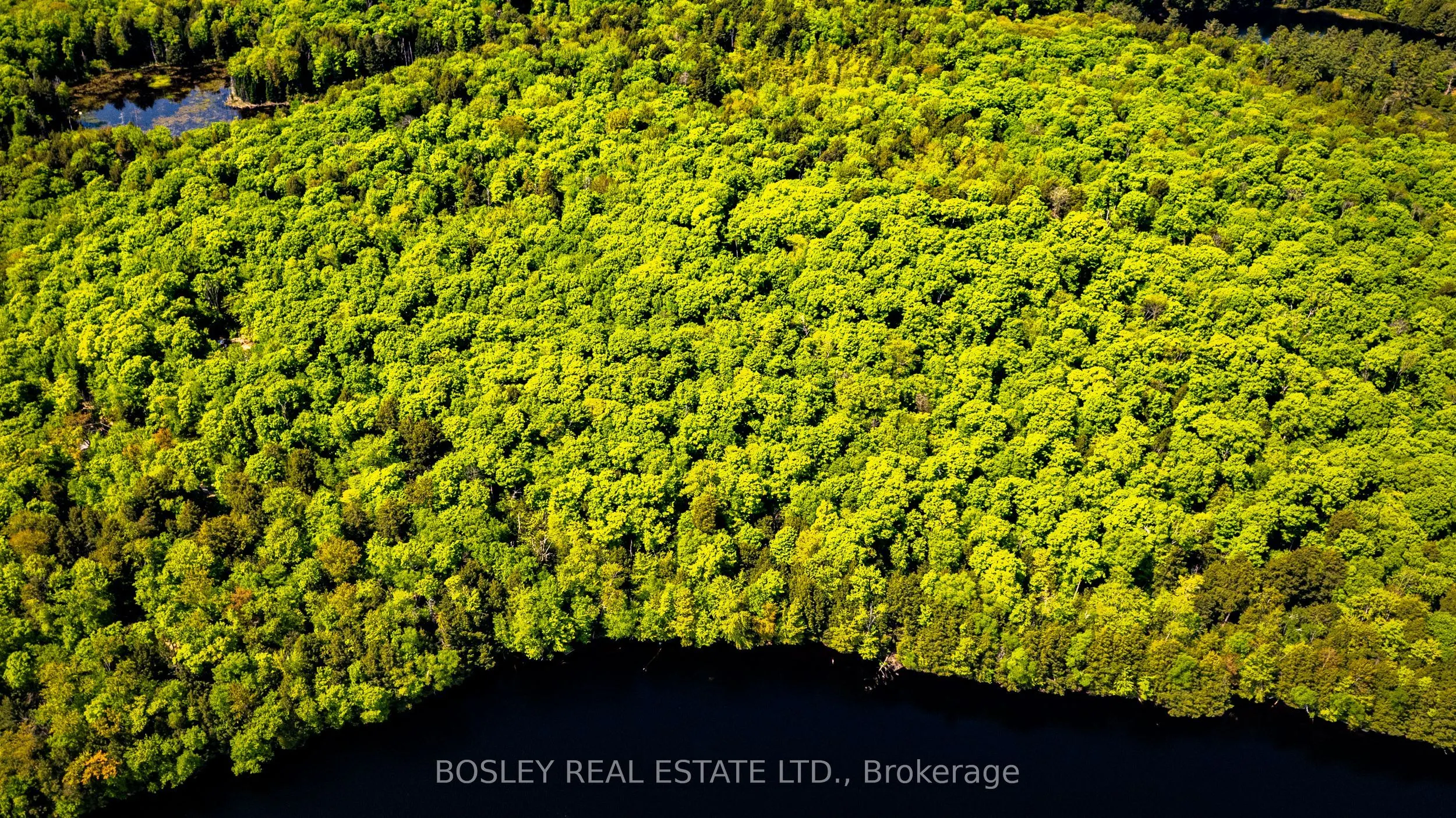 1310 Camel Lake Road, #Unit 13 Lot 6