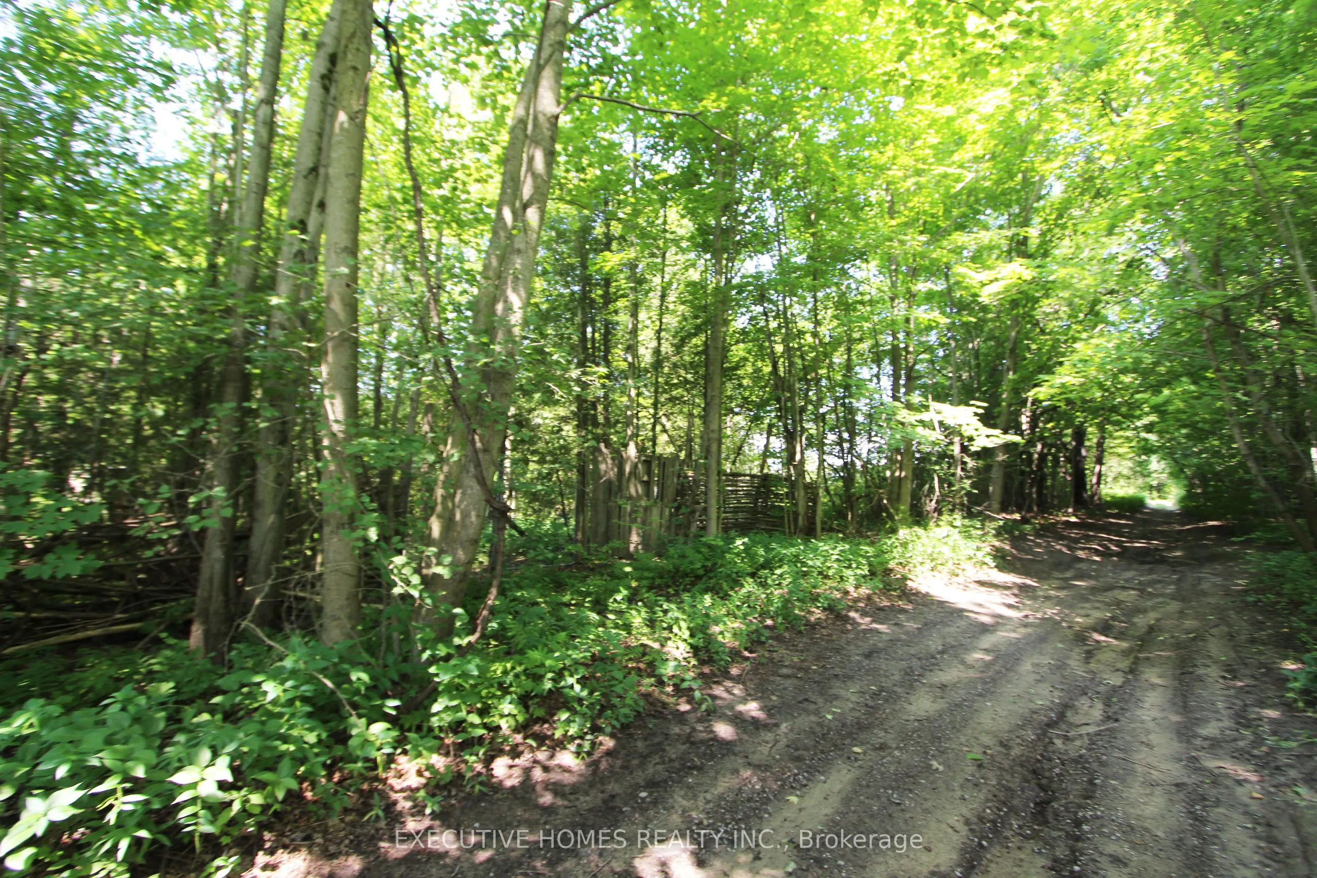 00000 WEBSTER Road