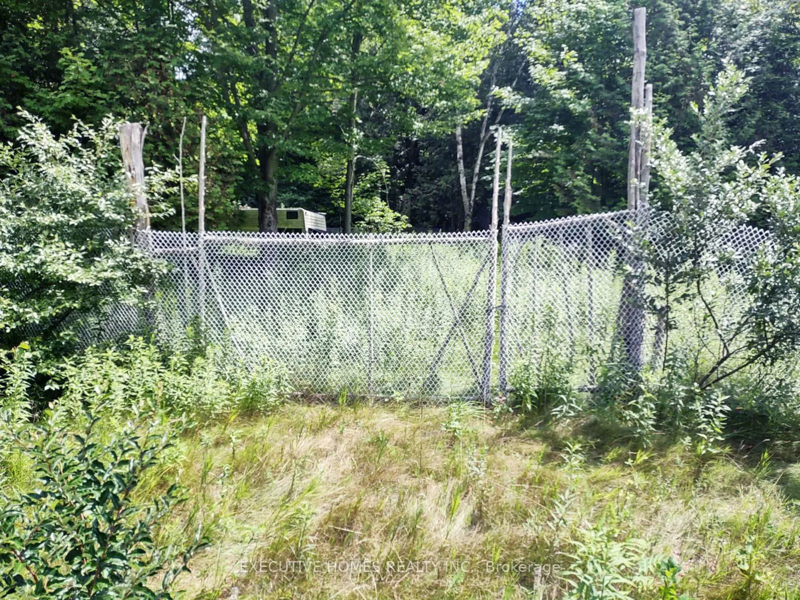 00000 WEBSTER Road