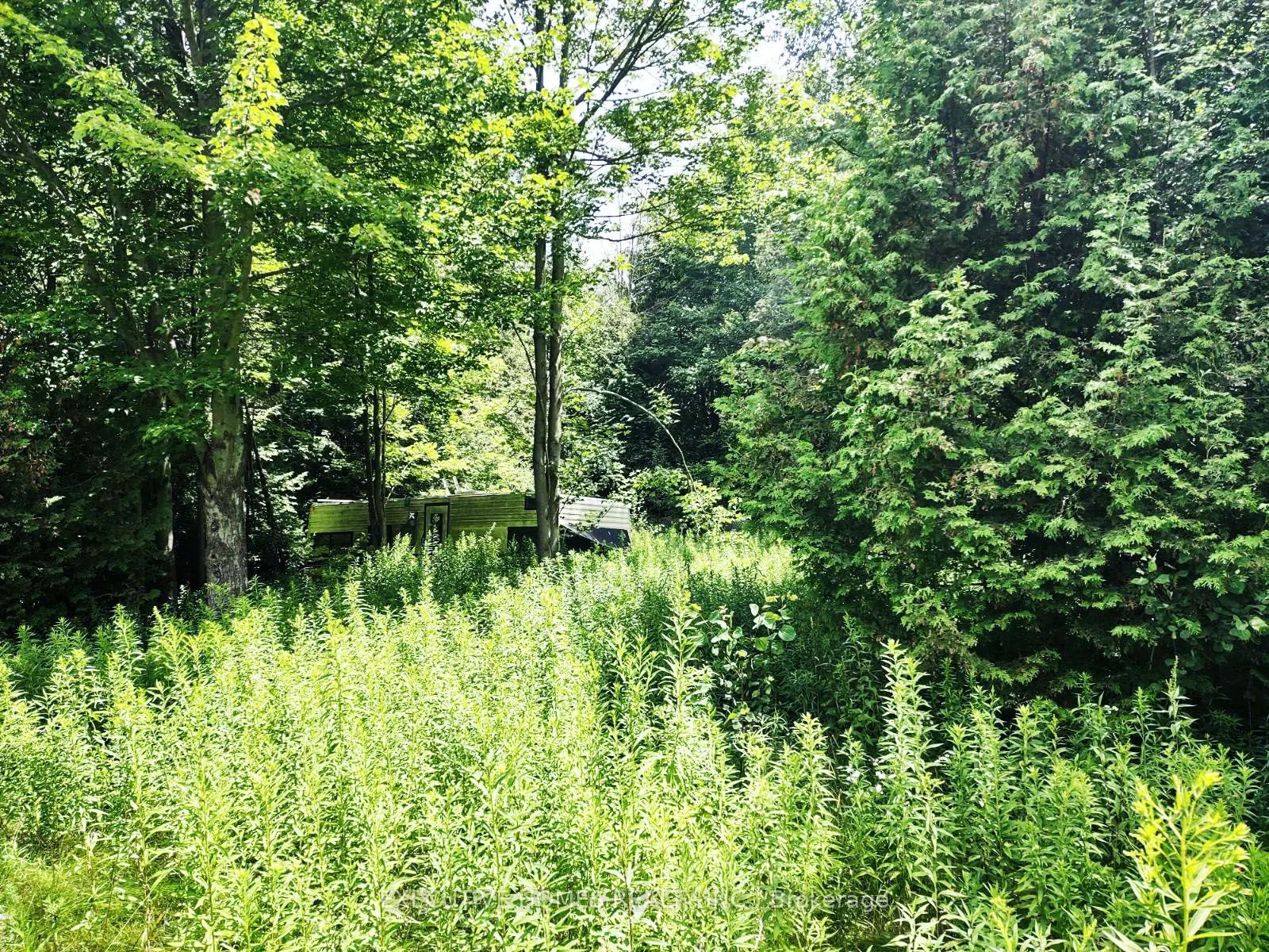 00000 WEBSTER Road