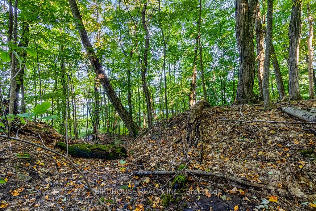 504871 Grey Road 1