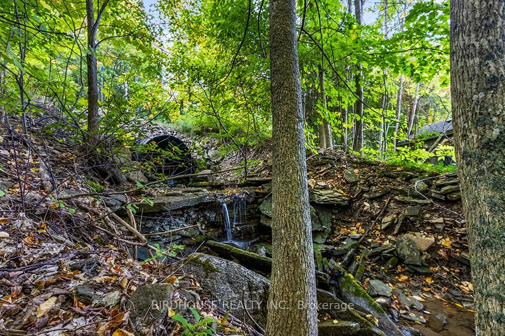 504871 Grey Road 1