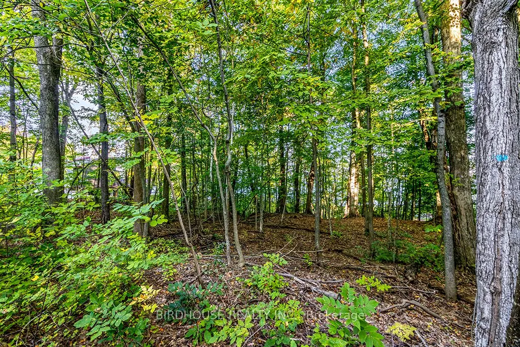 504871 Grey Road 1