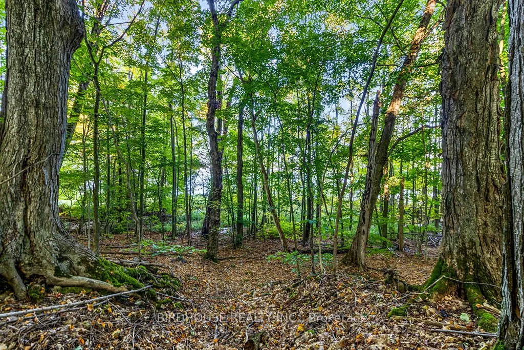 504871 Grey Road 1