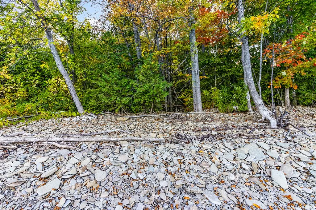 504871 Grey Road 1