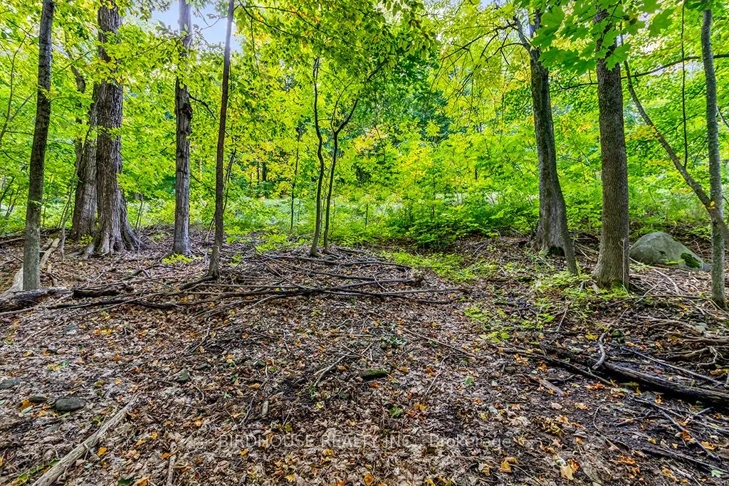504871 Grey Road 1