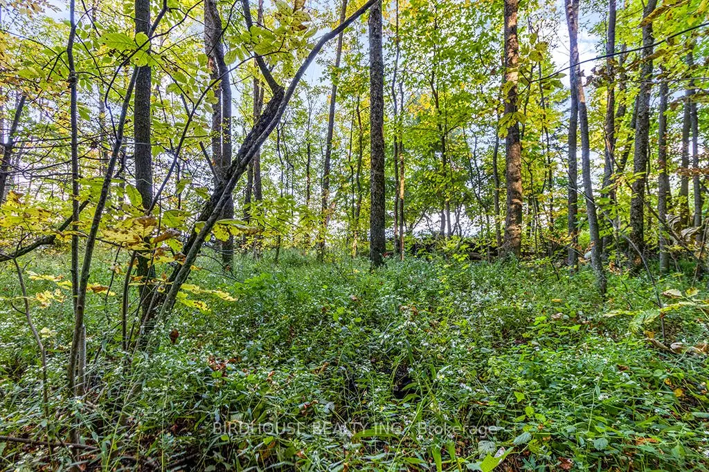 504871 Grey Road 1