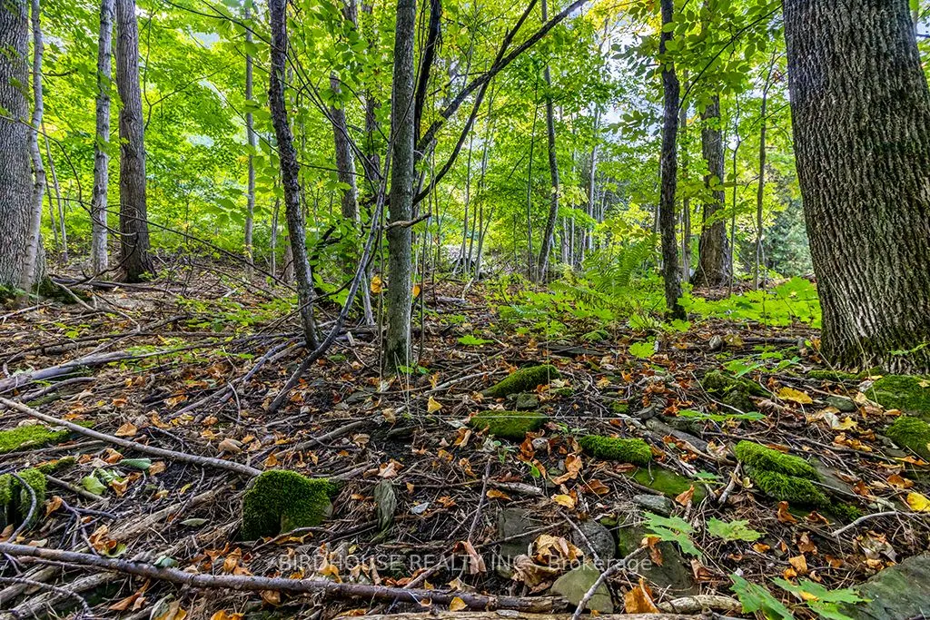 504871 Grey Road 1